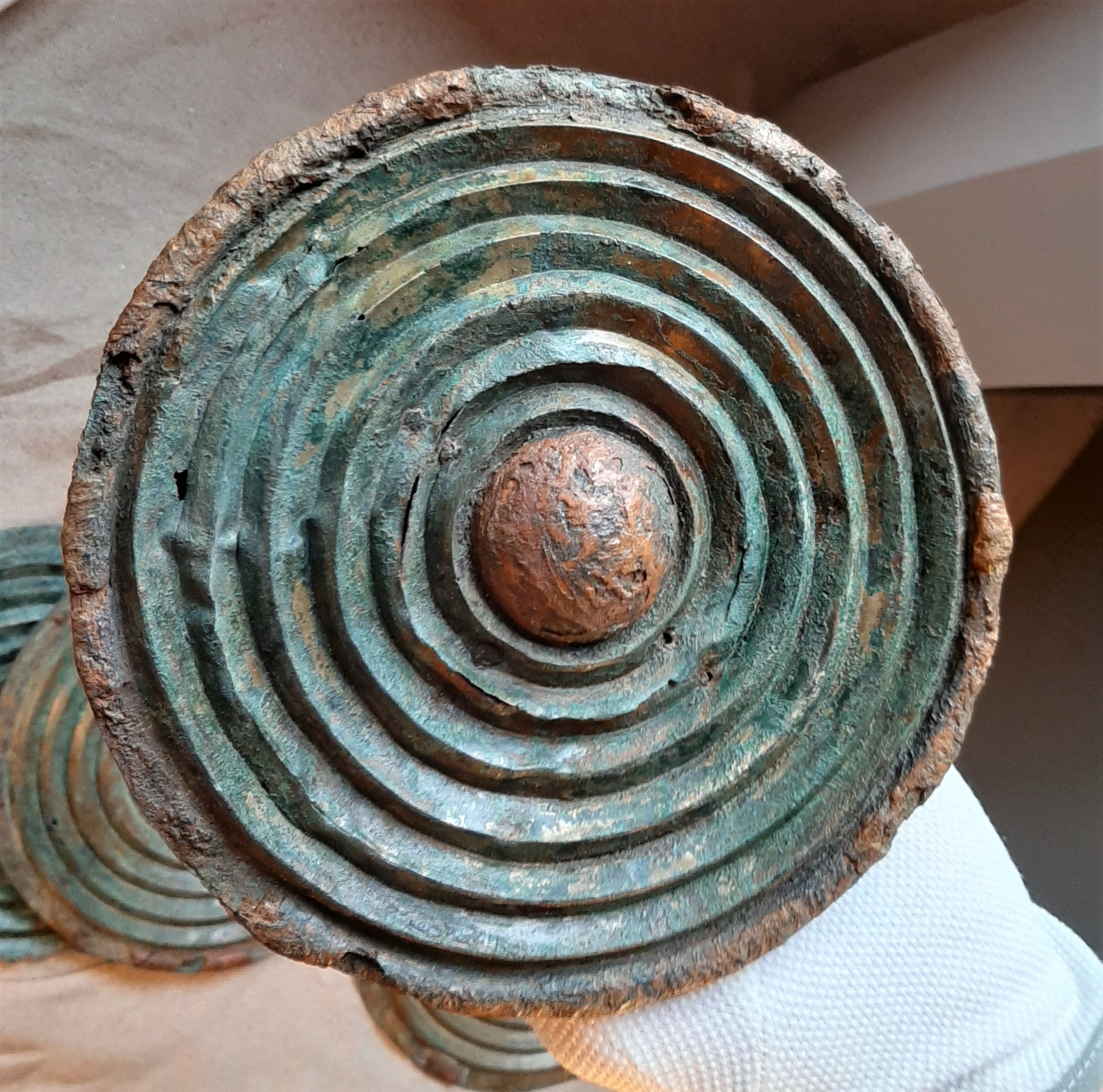 FileHassleskatten_skiva_-_Historiska_museet_-_96981_HST_-_718060.jpg
