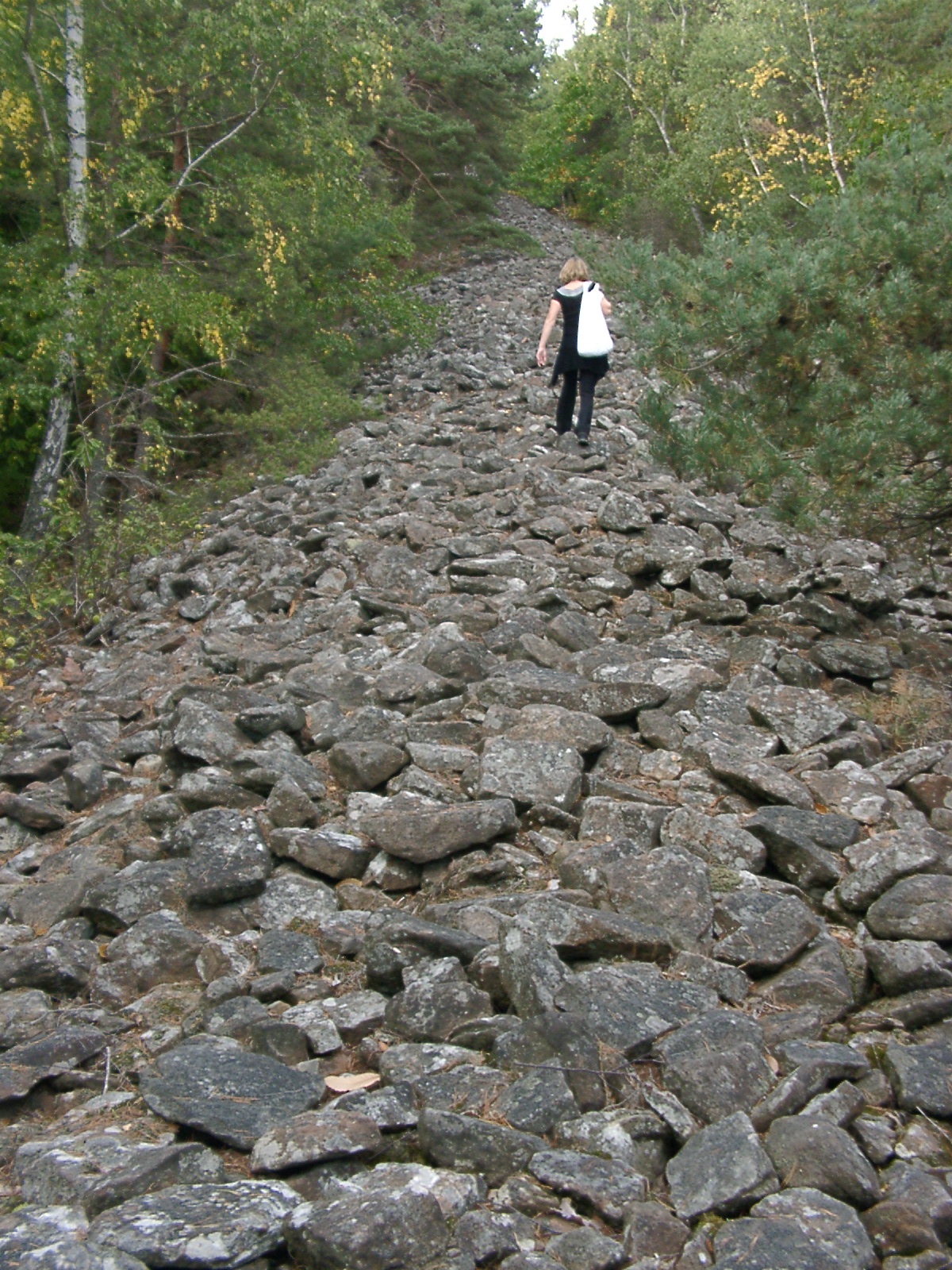 Heidenmauer (Palatinate)