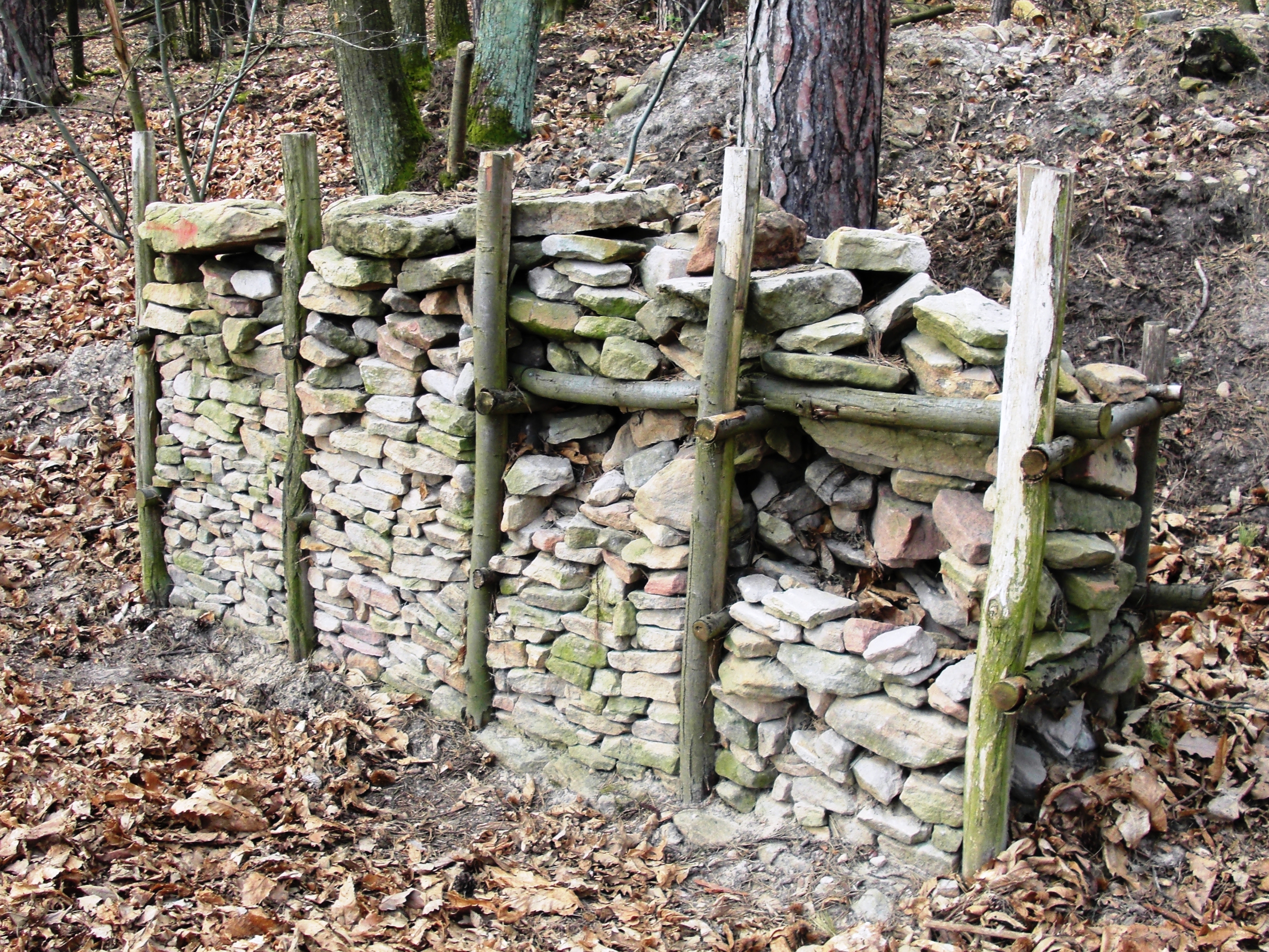 FileHeidenmauer2.jpg
