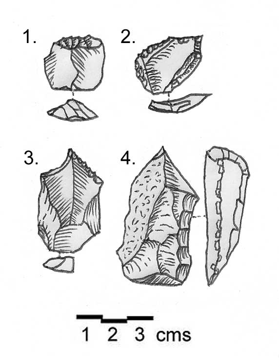 FileShepherd_Neolithic_flint_tools.jpg