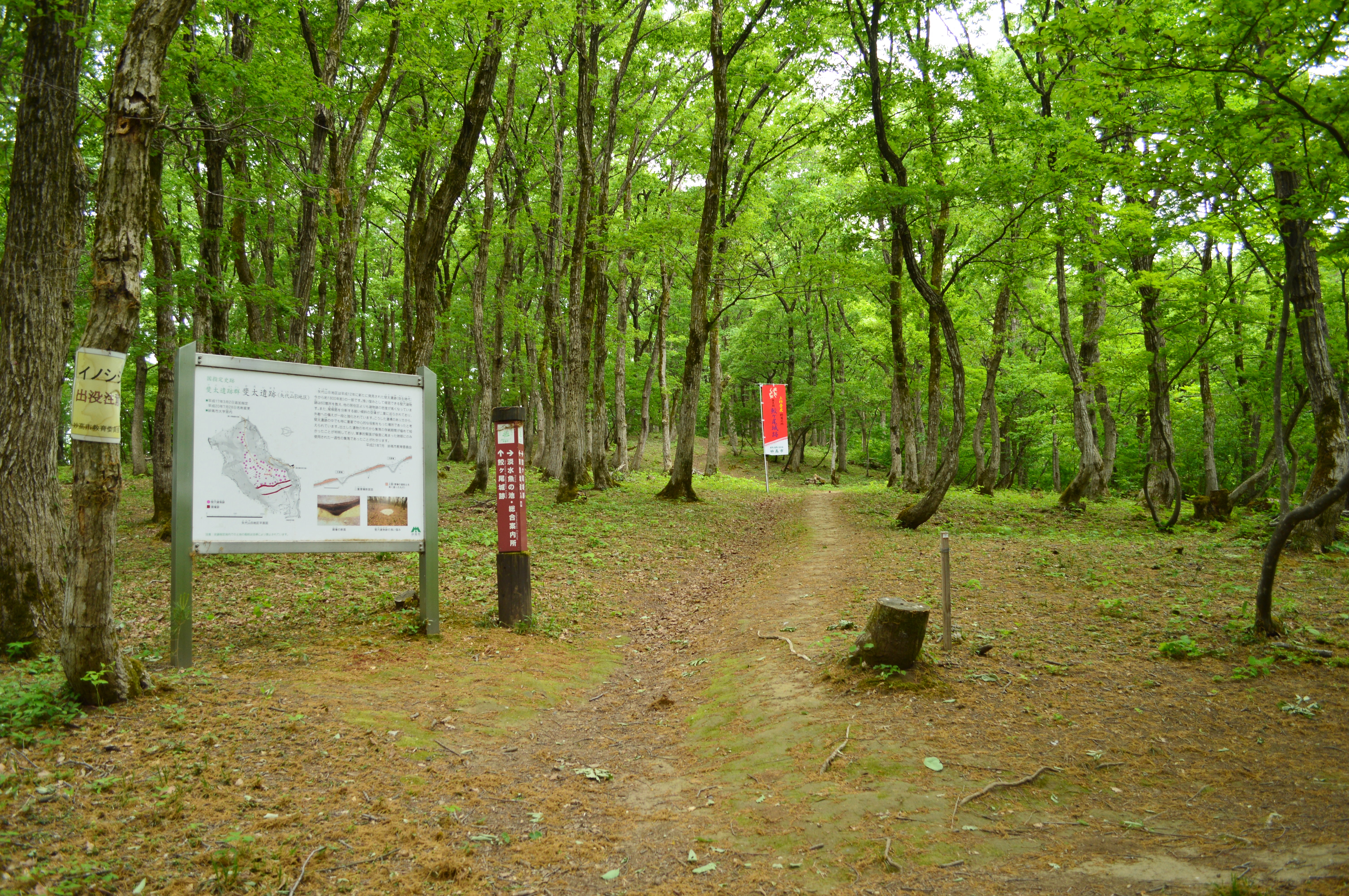 FileHida_Site_Yashiroyama-B_gaikan.jpg