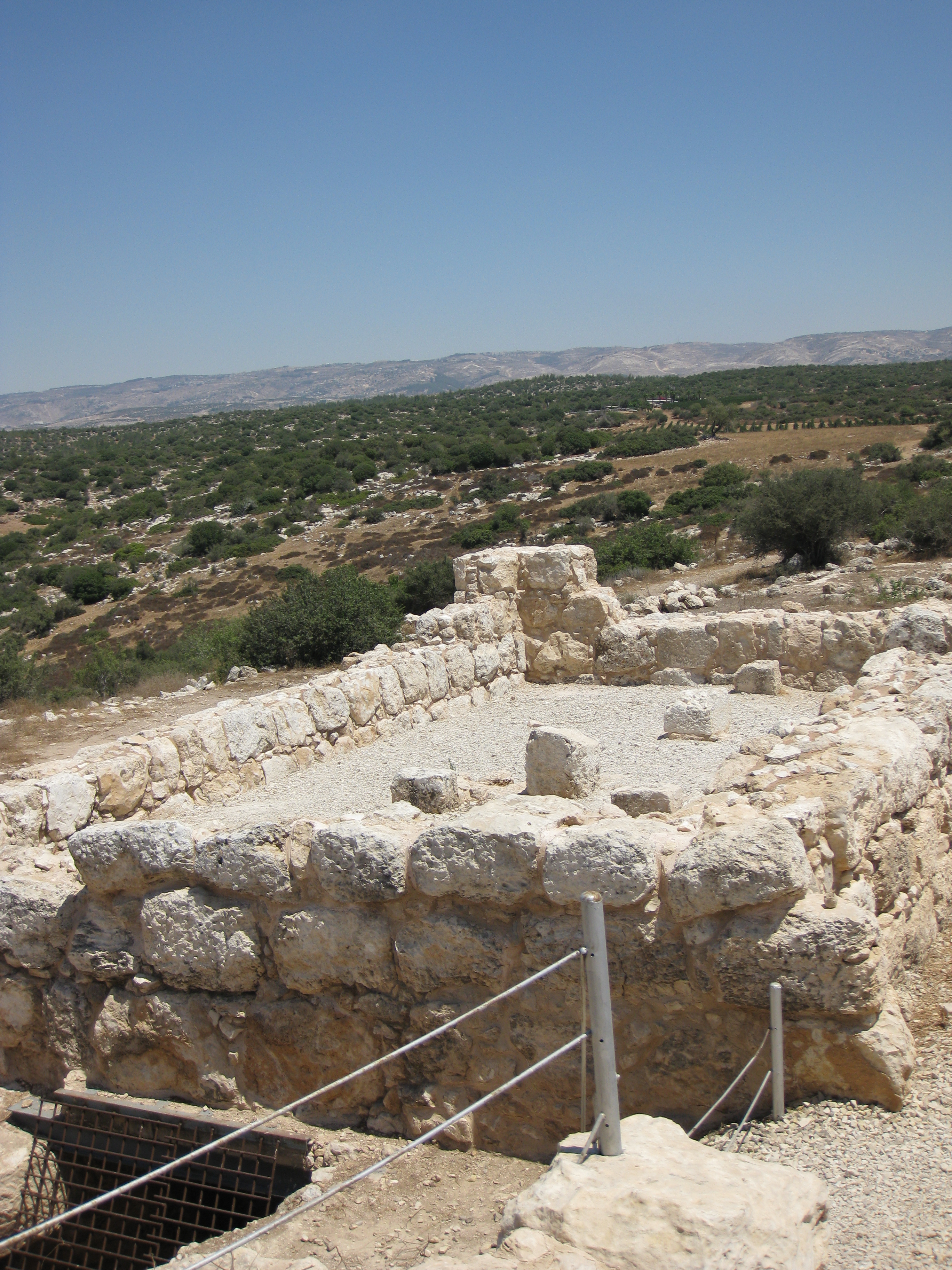 FileAtri_IMG_5763.JPG
