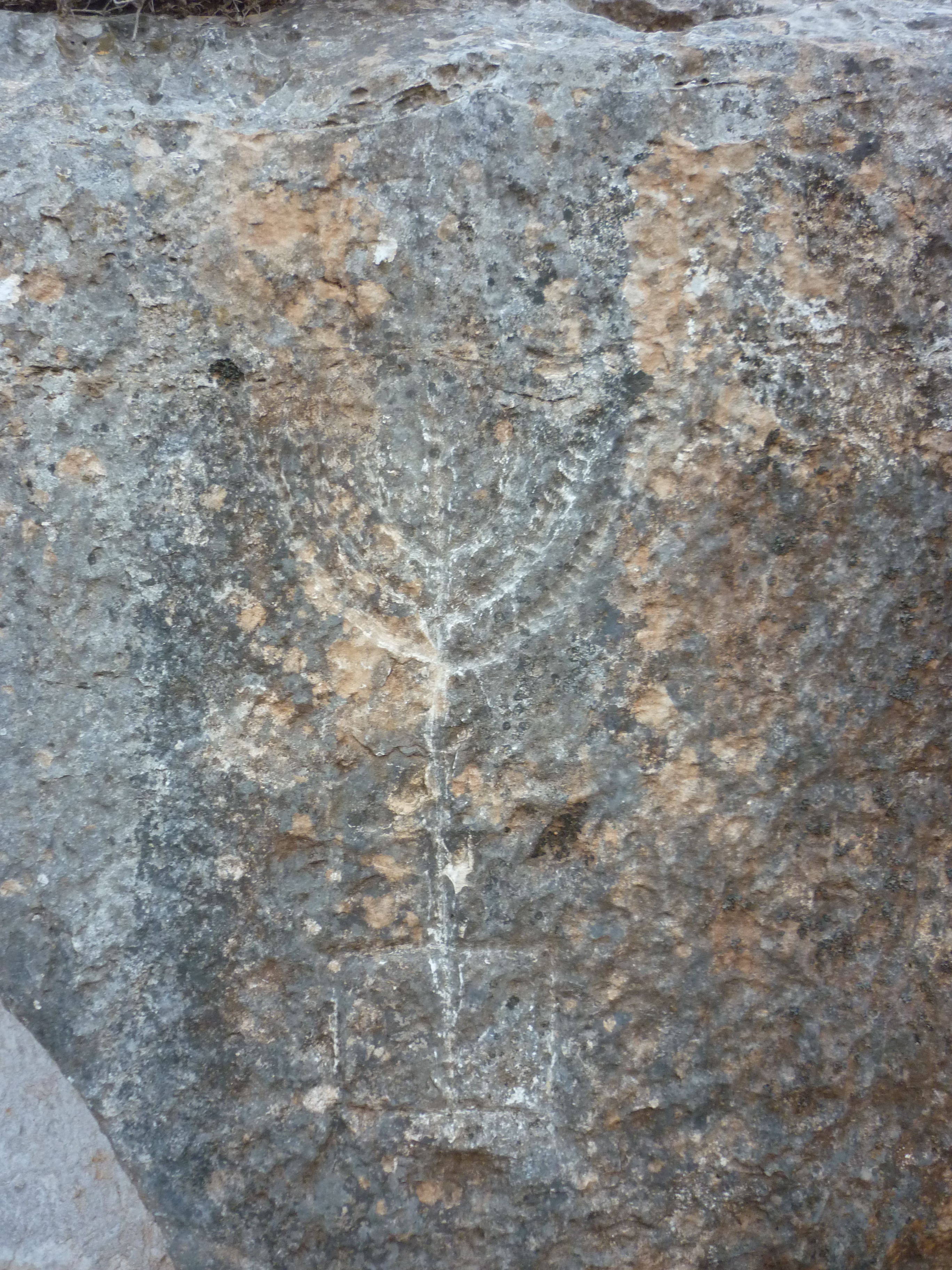 FileMenura_cuved_in_the_entence_of_a_crypt_Hirbat_Sumek_2.JPG