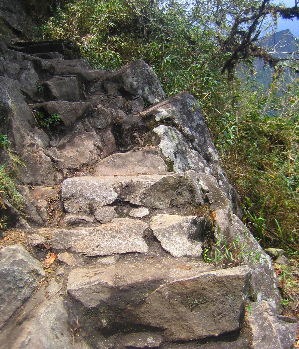 FileSteps_to_Huayna_Picchu.jpg