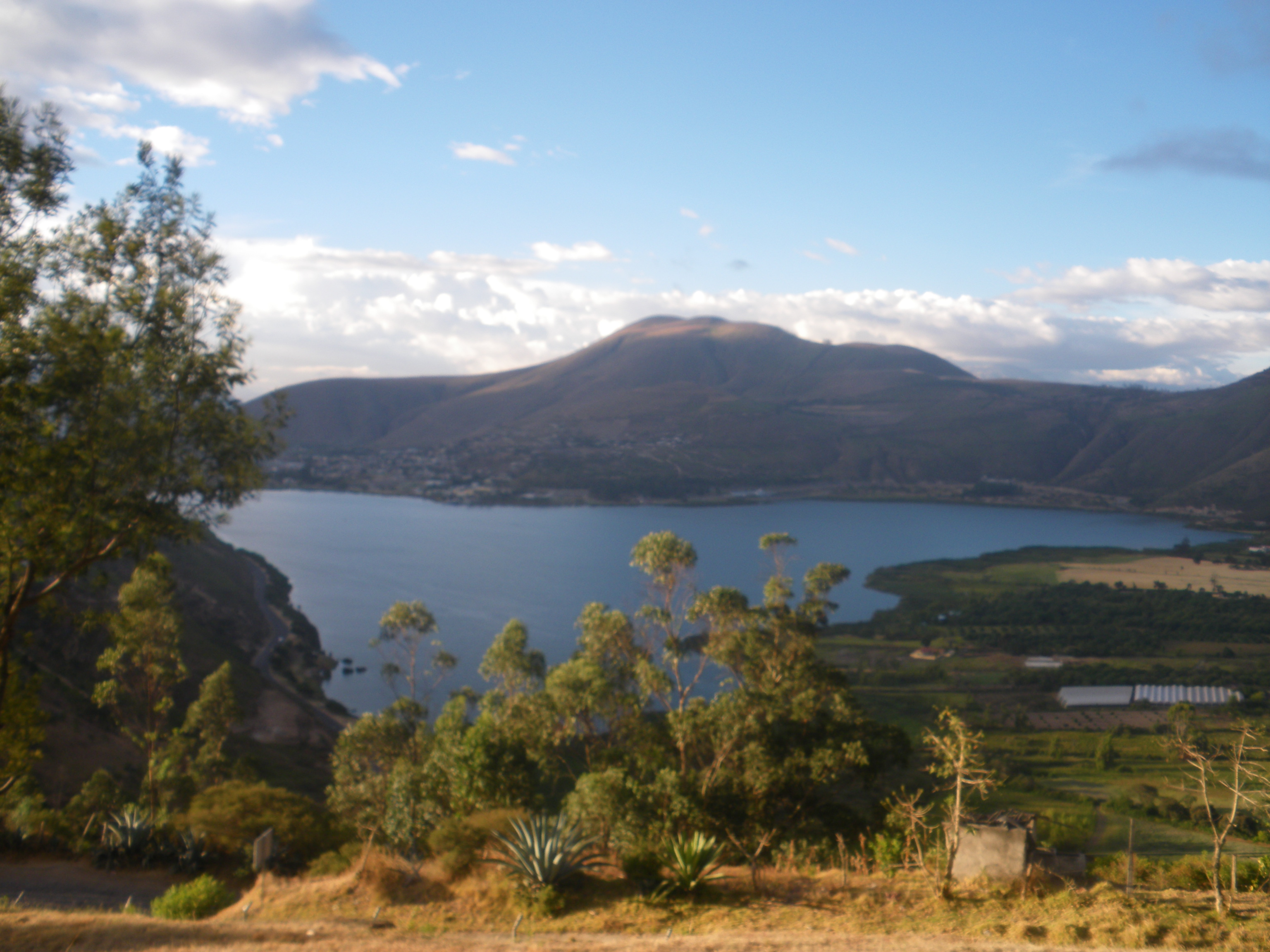 Inca-Caranqui