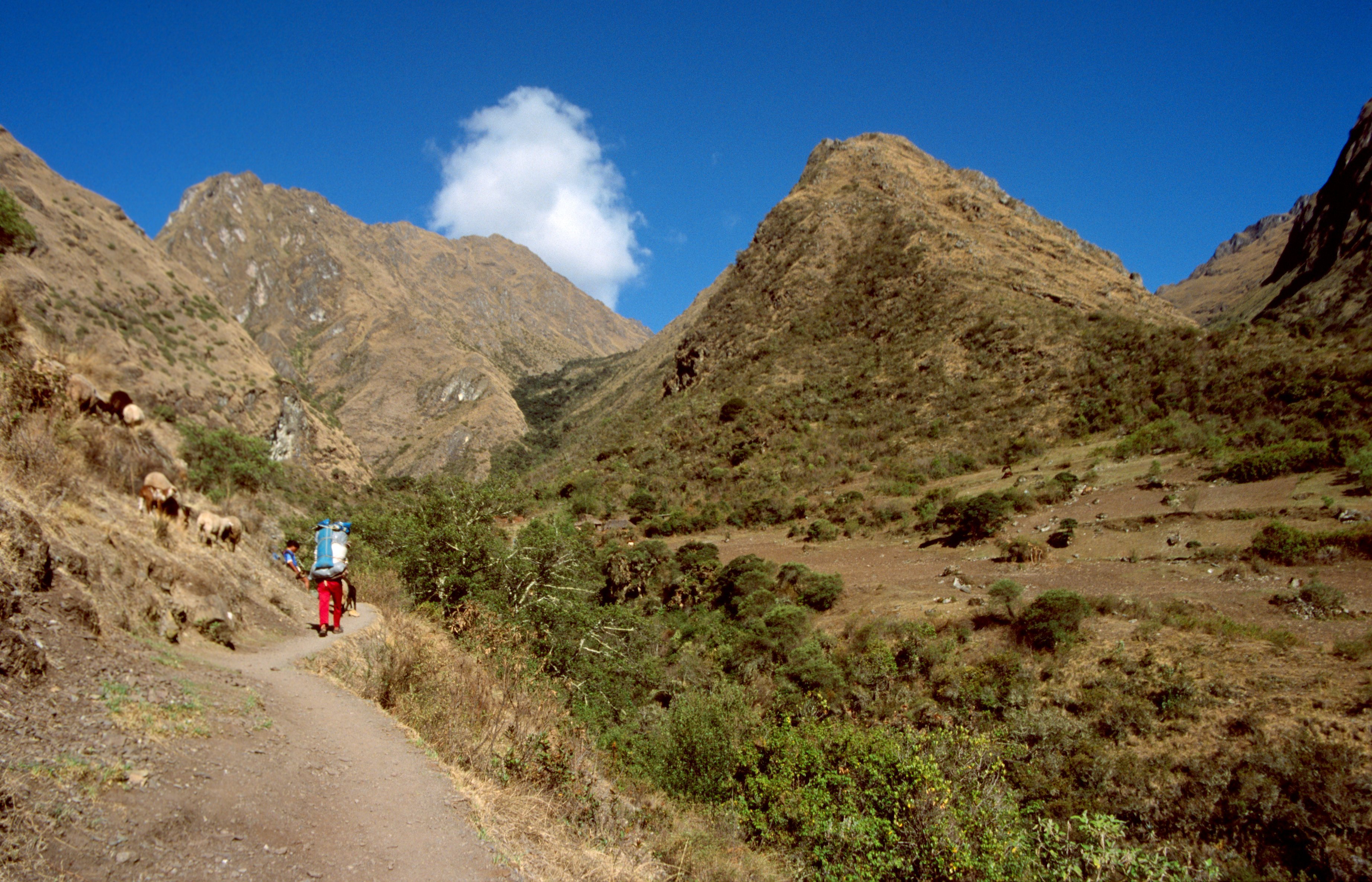 Inca Trail to Machu Picchu