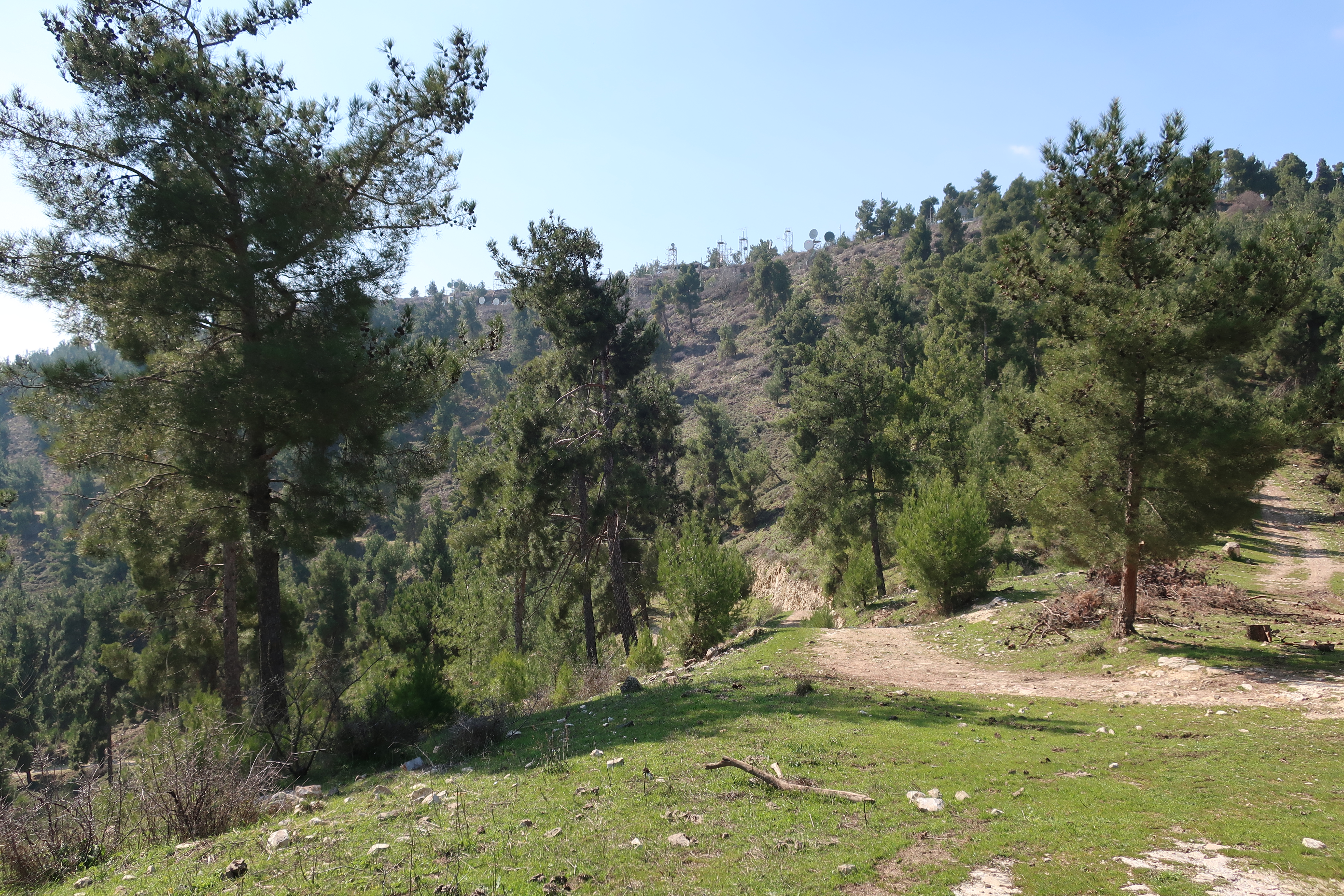 FileHar_Yavnit_seen_from_the_east_side.jpg