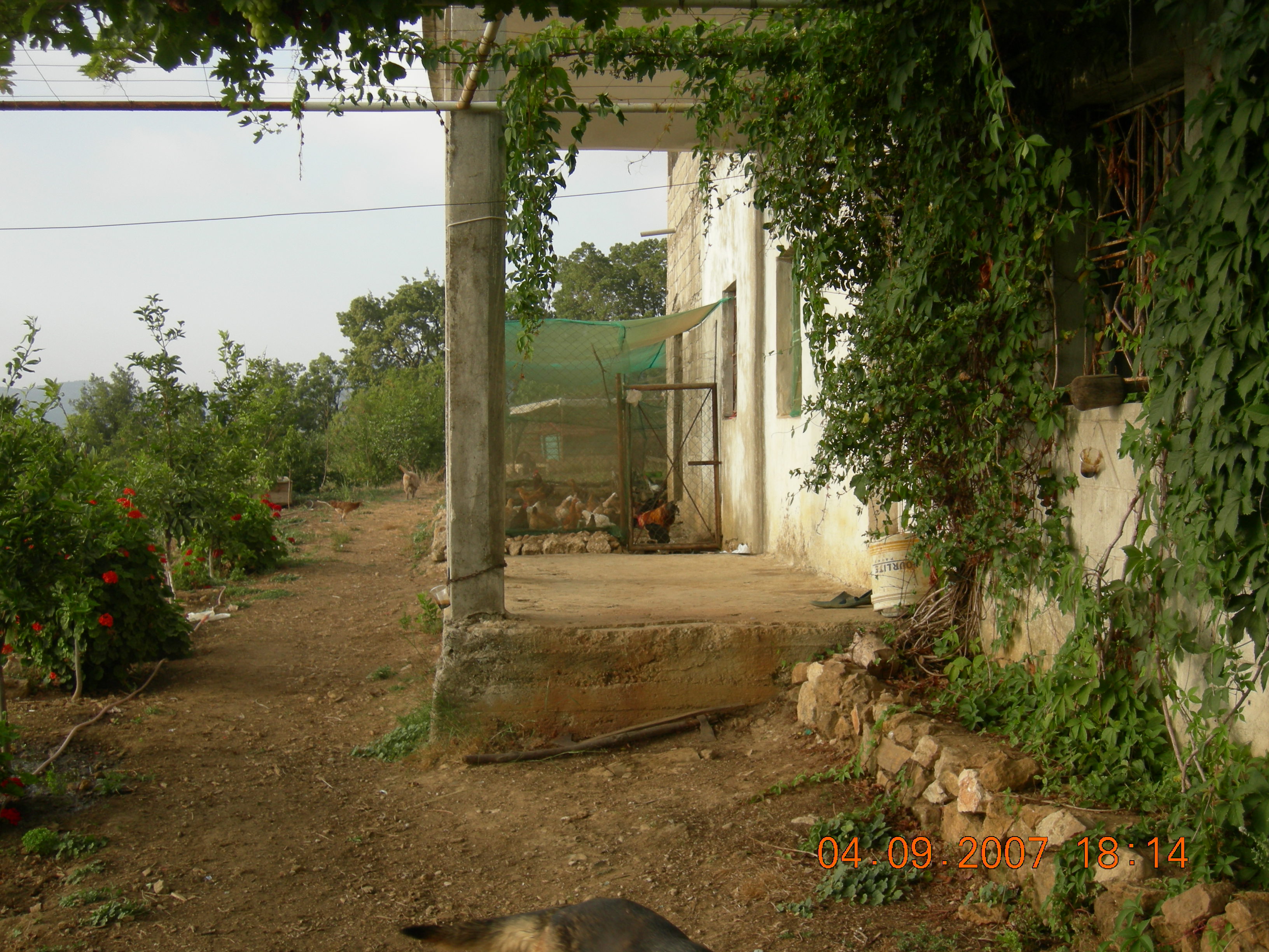 FileFamer_House_in_Jbaa_-_panoramio.jpg
