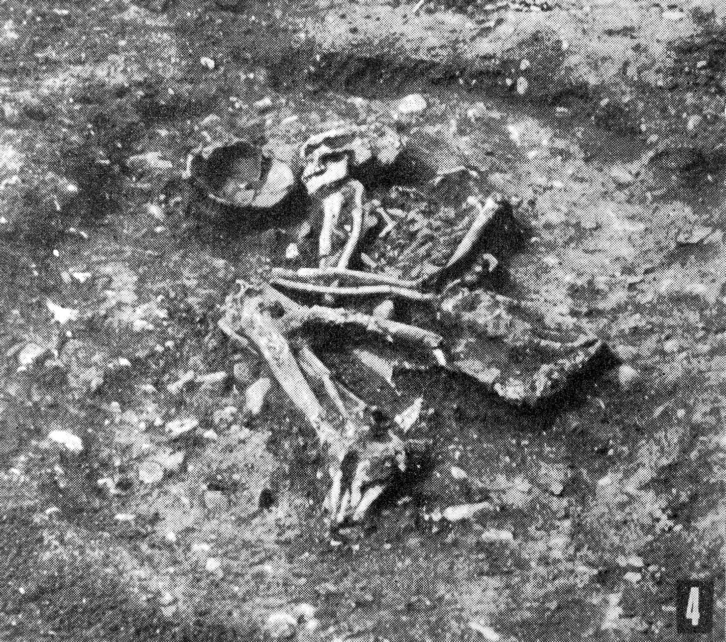 FileImage_of_a_Neolithic_grave_damaged_Czechoslovakia._Wellcome_L0008701.jpg