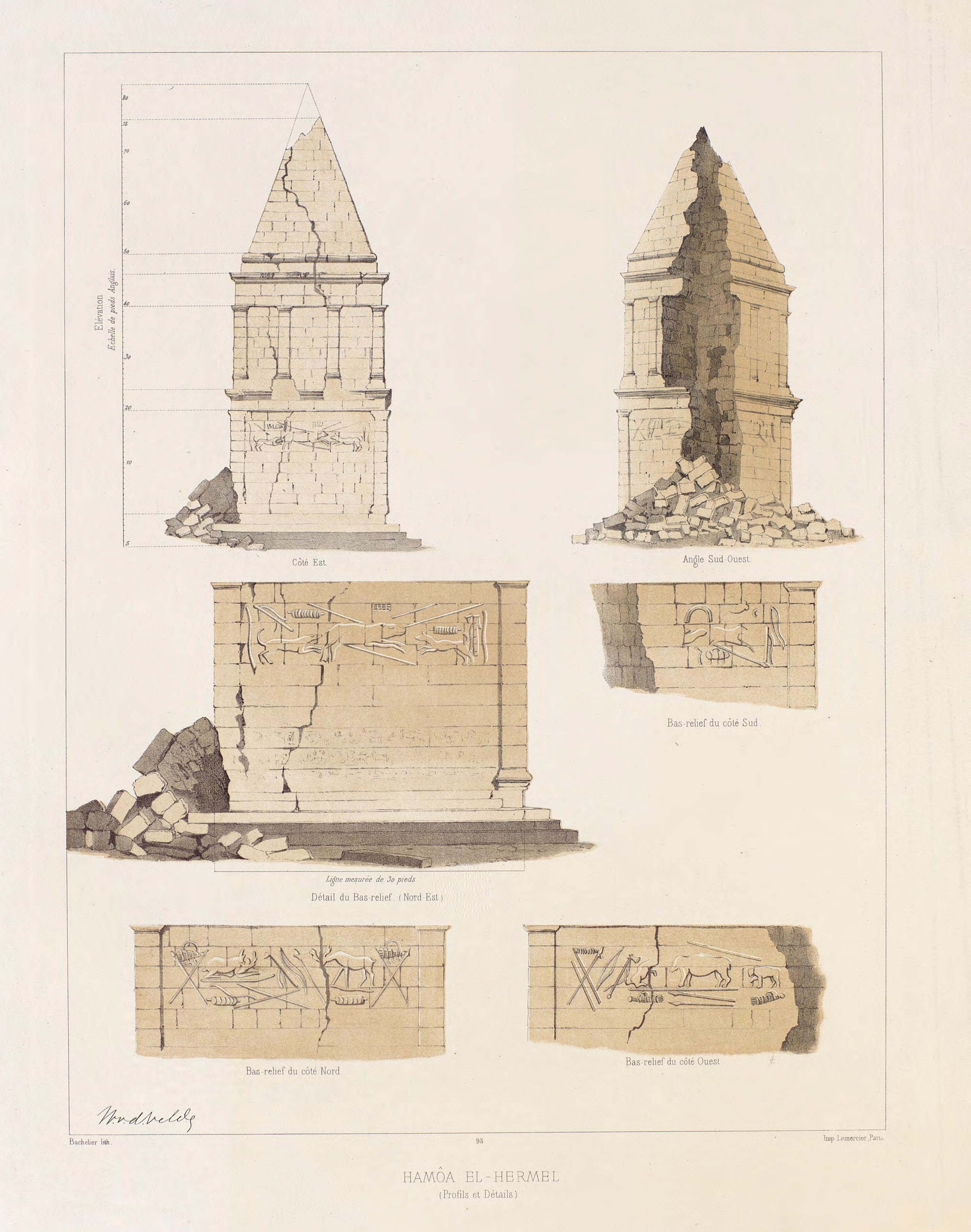 File93.Kamoa_el-Hermel_profils_et_details.jpg