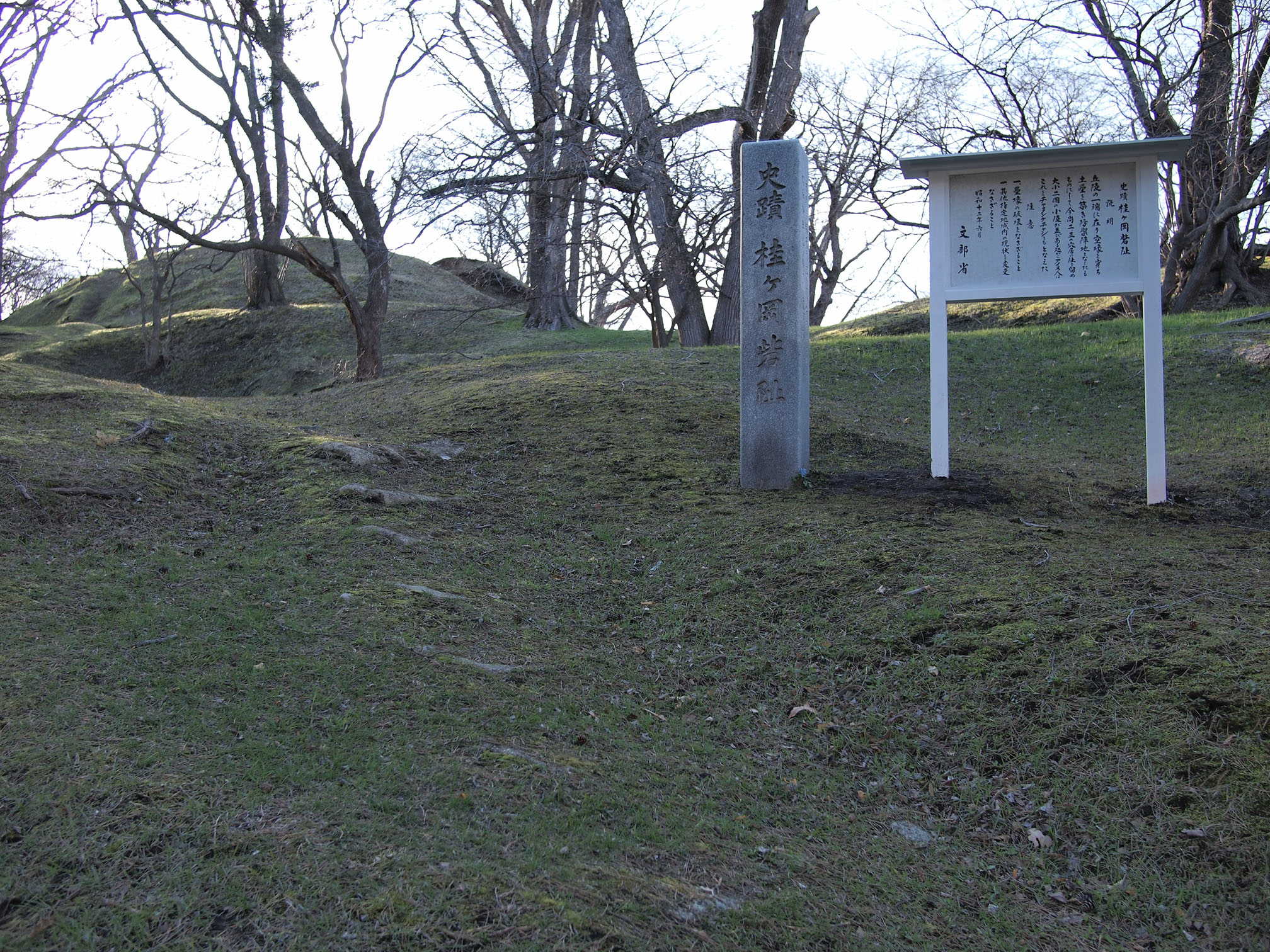 FileKatsuragaoka_Chashi.jpg