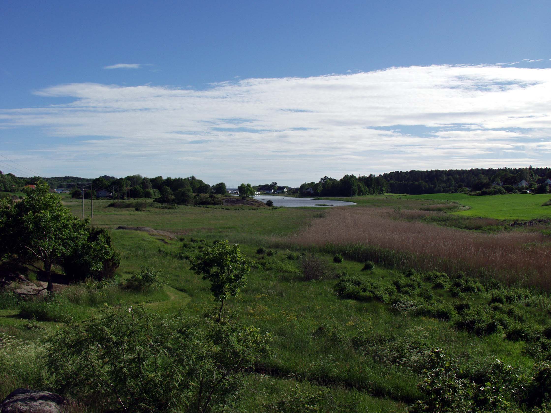 FileKaupang_Vestfold_view_22jun2005.jpg