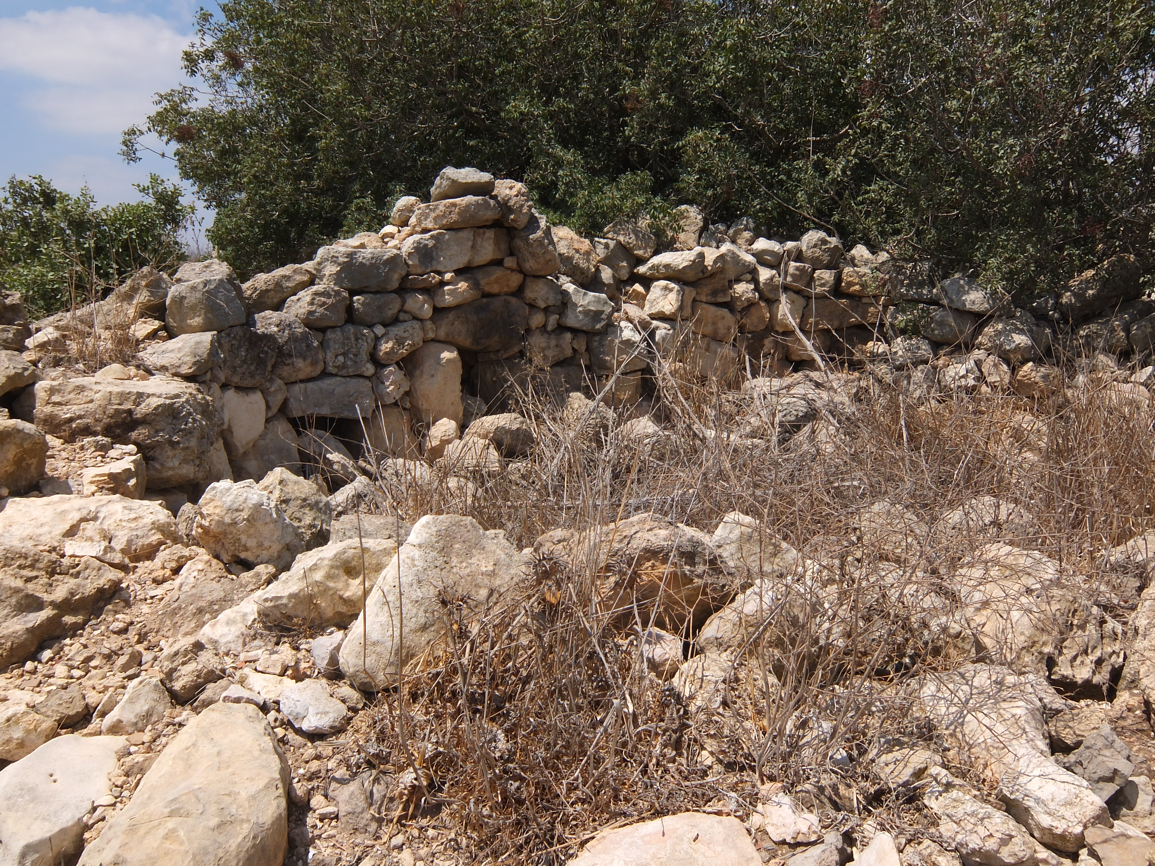 FileGeneral_ruins_at_Khirbet_et-Tibbaneh.jpg