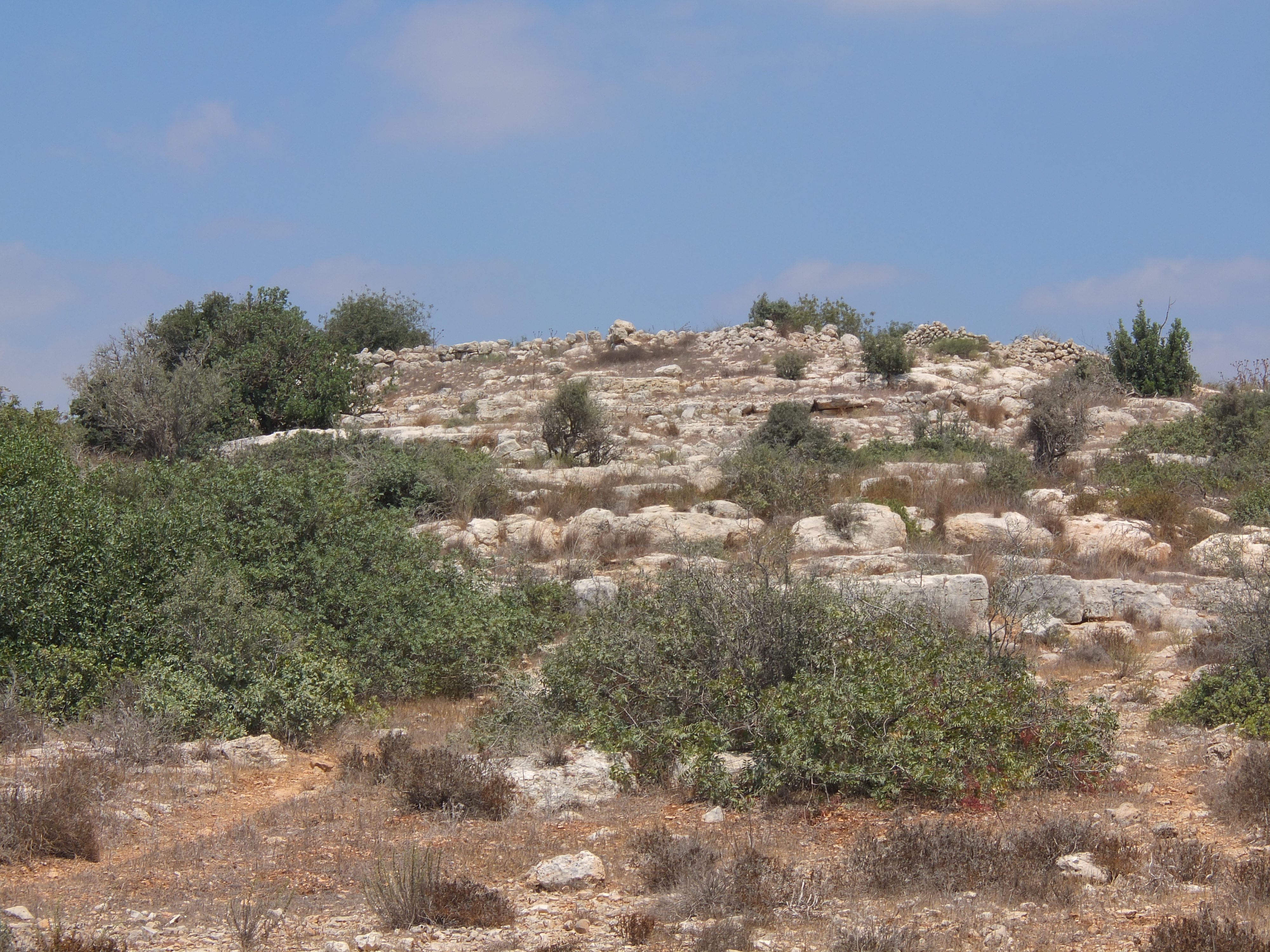 FileKhirbet_et-Tibbaneh_-_2.jpg