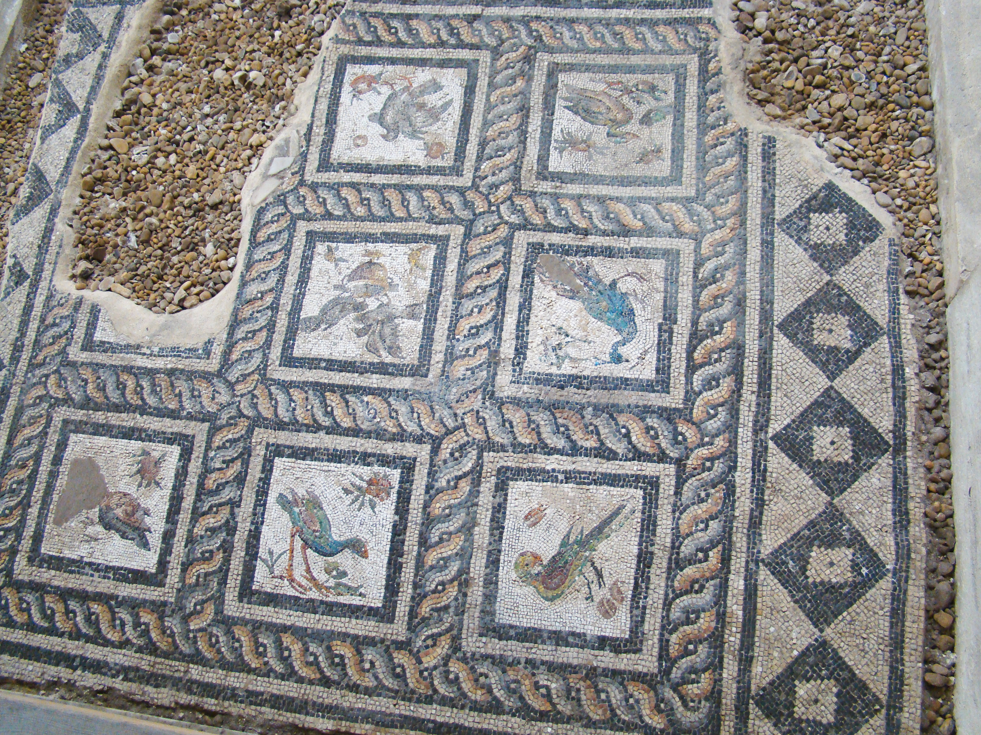 FileVilla_of_the_Birds_I_6761960673.jpg