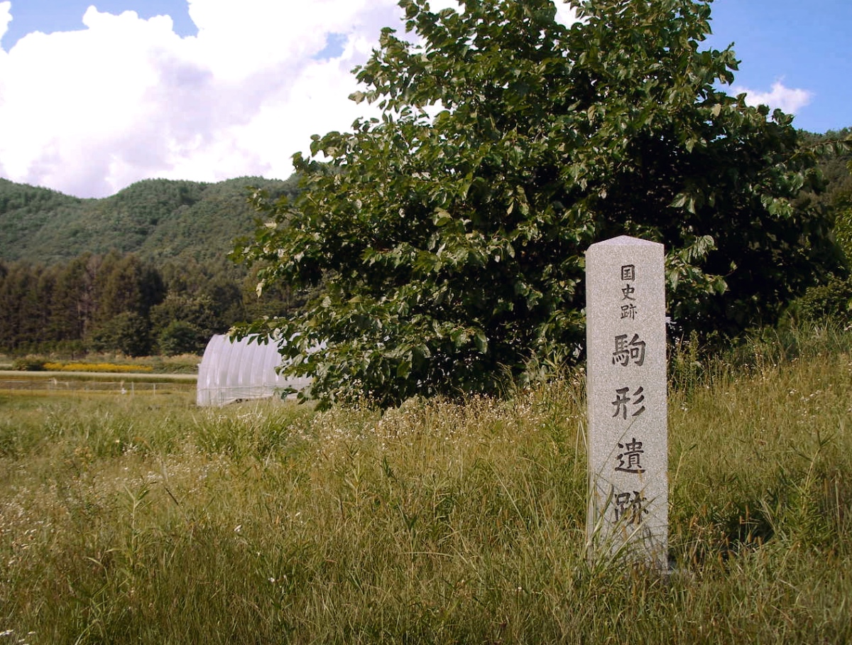 FileKomagata_Site.jpg