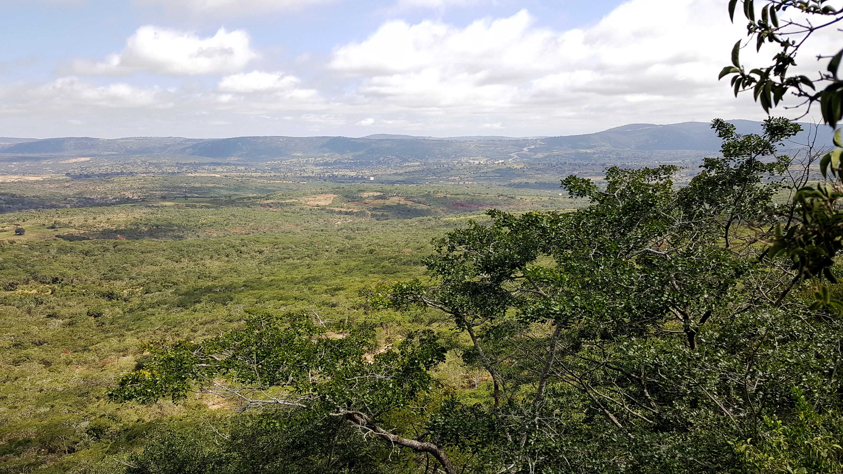 FileView_from_the_top_of_Rock_art_site.jpg