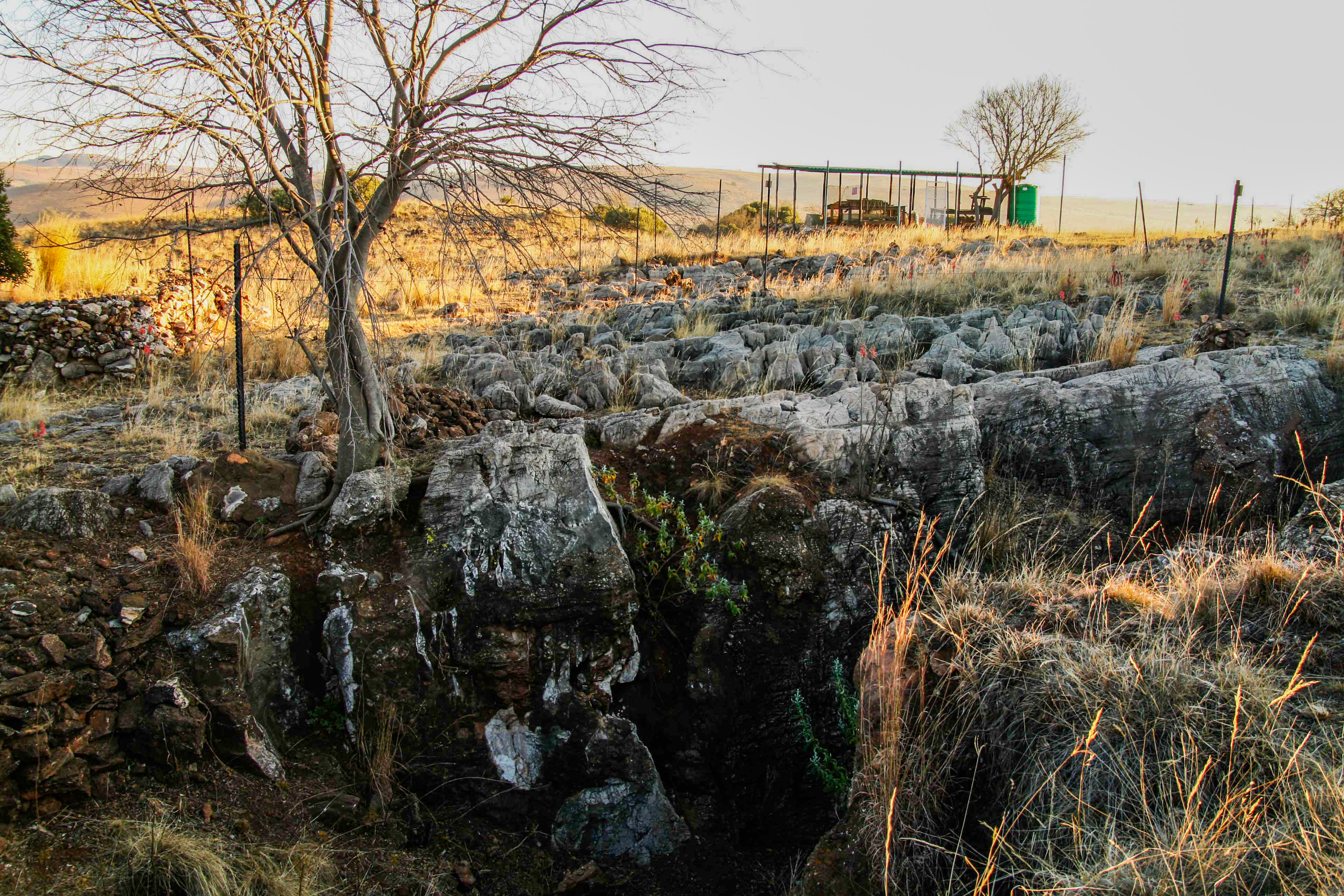 Kromdraai fossil site