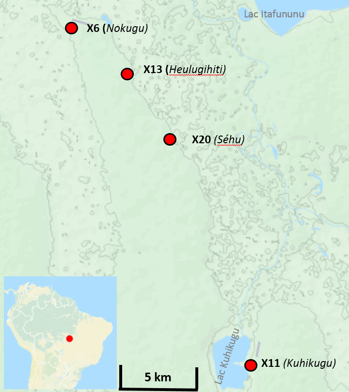 FileKuhikugu_complex.png