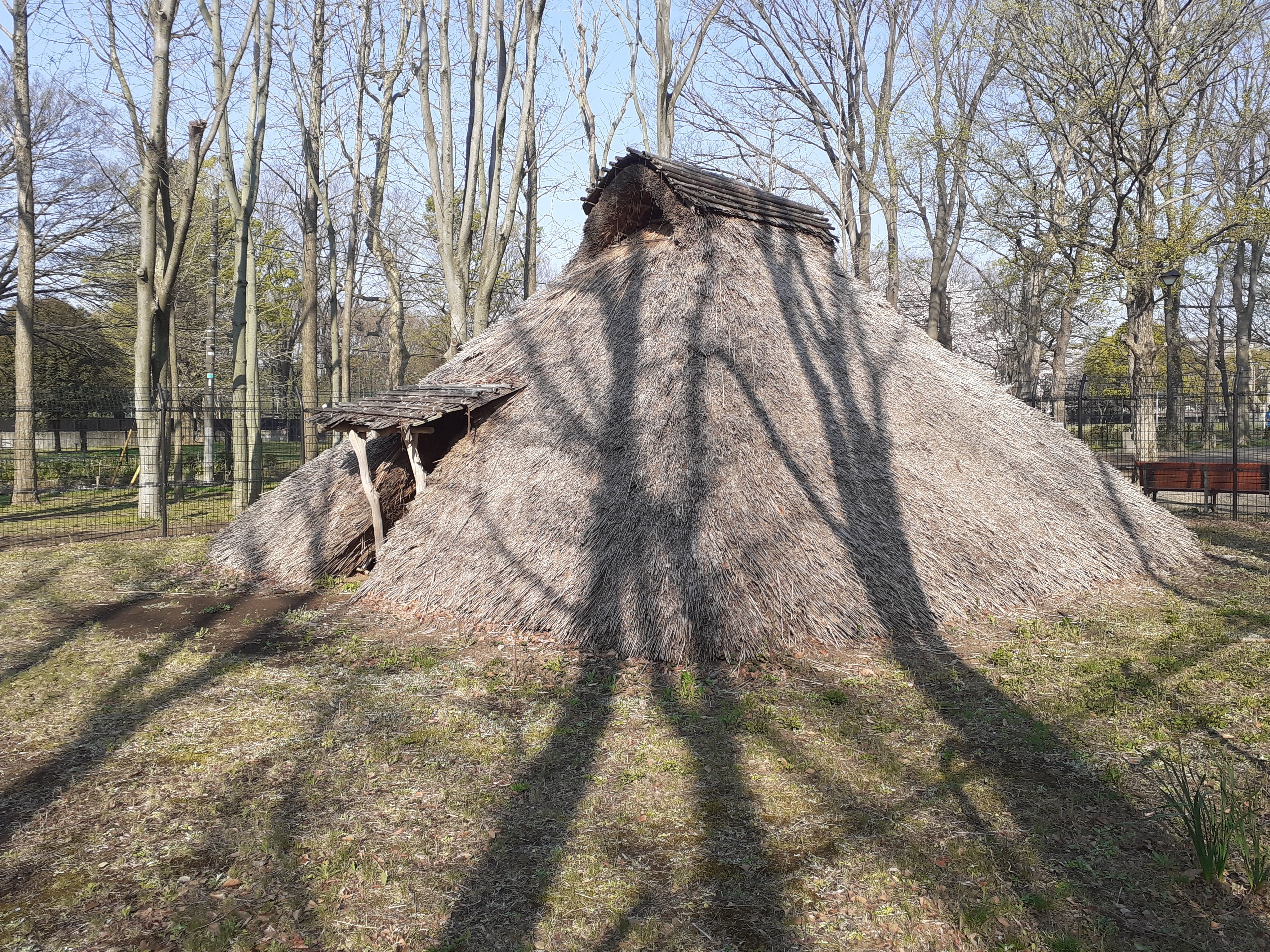FileEast_side_of_Kurihara_Ruins_in_Tokyo_Japan.jpg