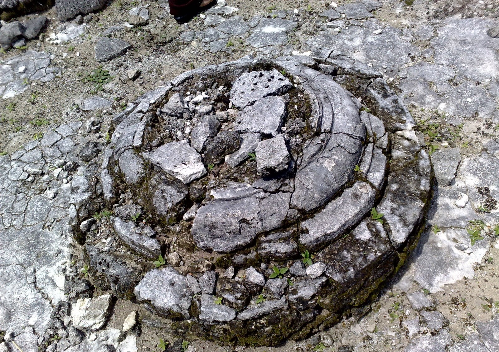 FileBuddhist_Monastery_in_Kaafu_Kaashidhoo_Maldives.jpg