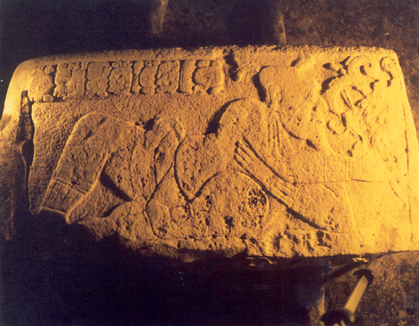 FileLA_AMELIA_STEP_7.jpg