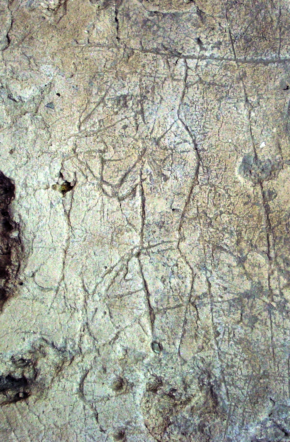 FileLa_Blanca_graffiti_4.jpg