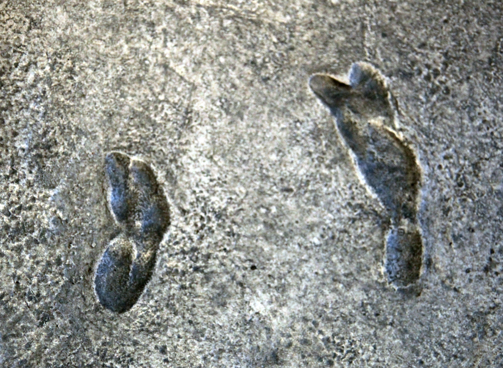Laetoli