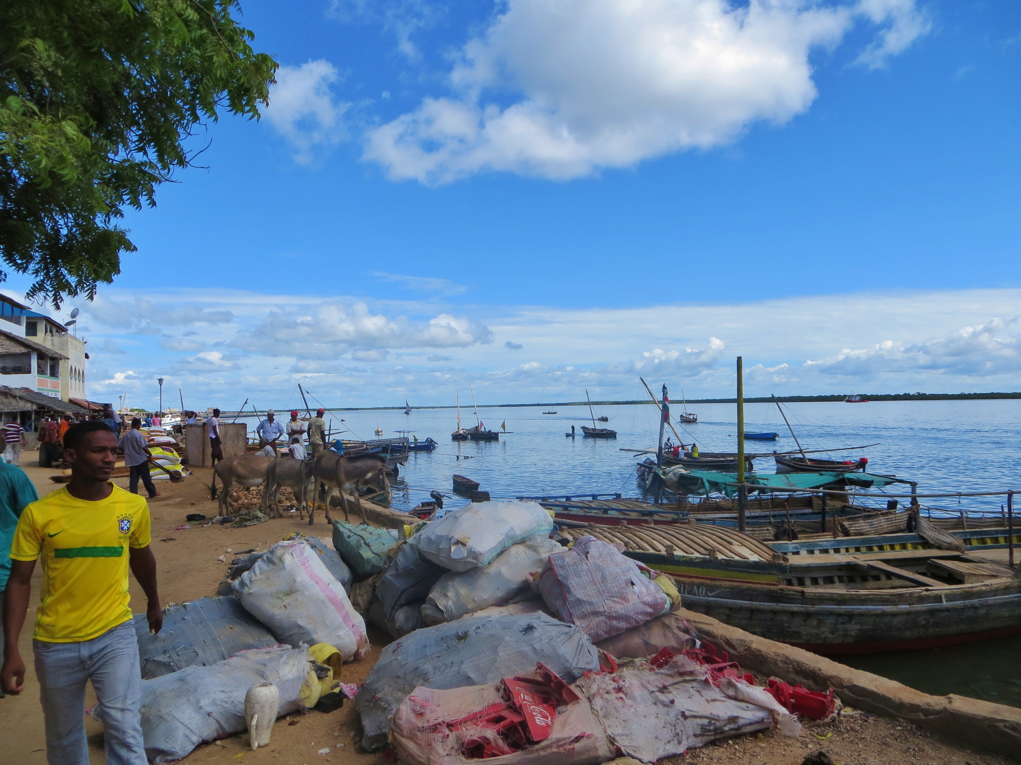 FileBord_de_mer_de_Lamu.JPG