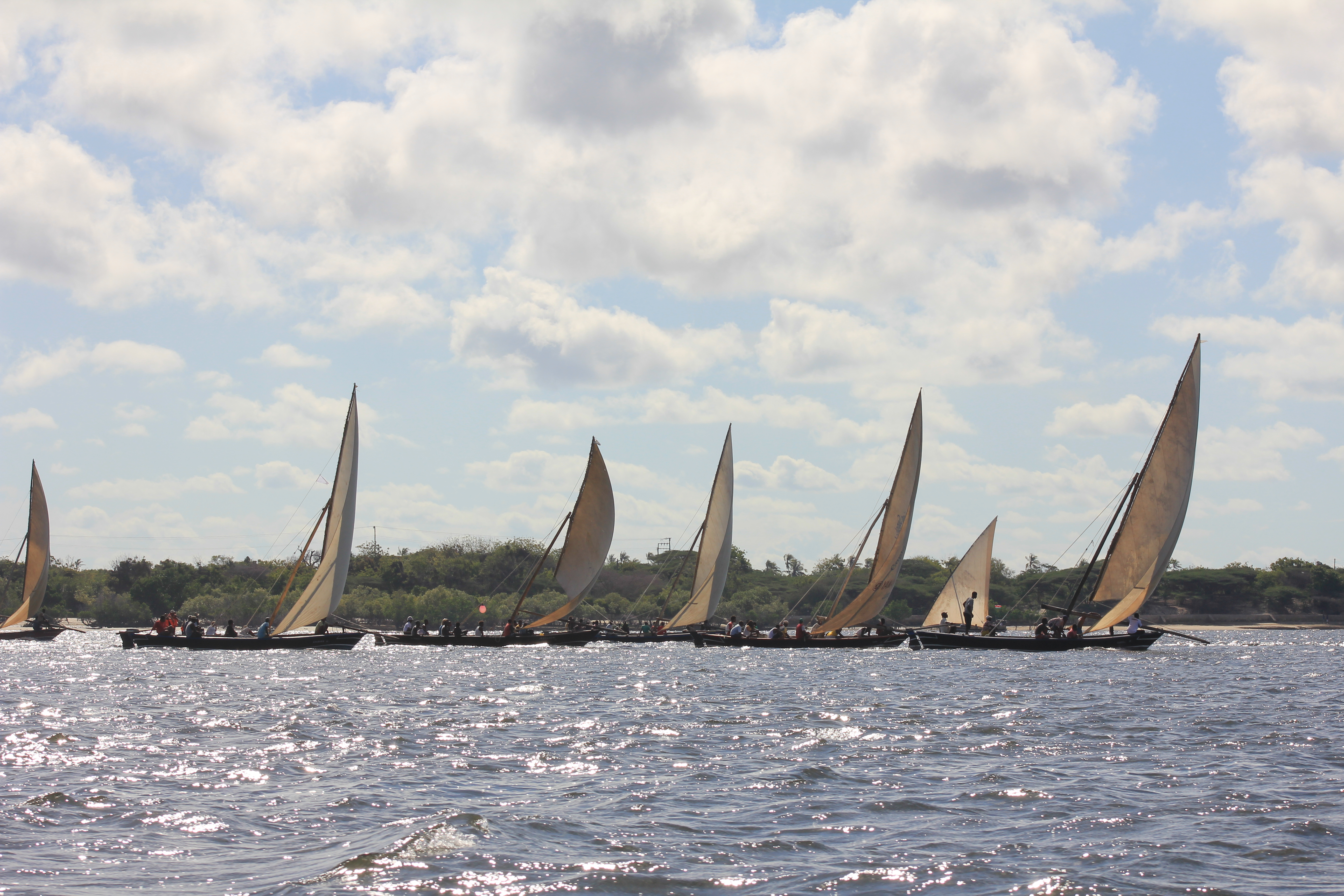 FileLamu_Boats.jpg
