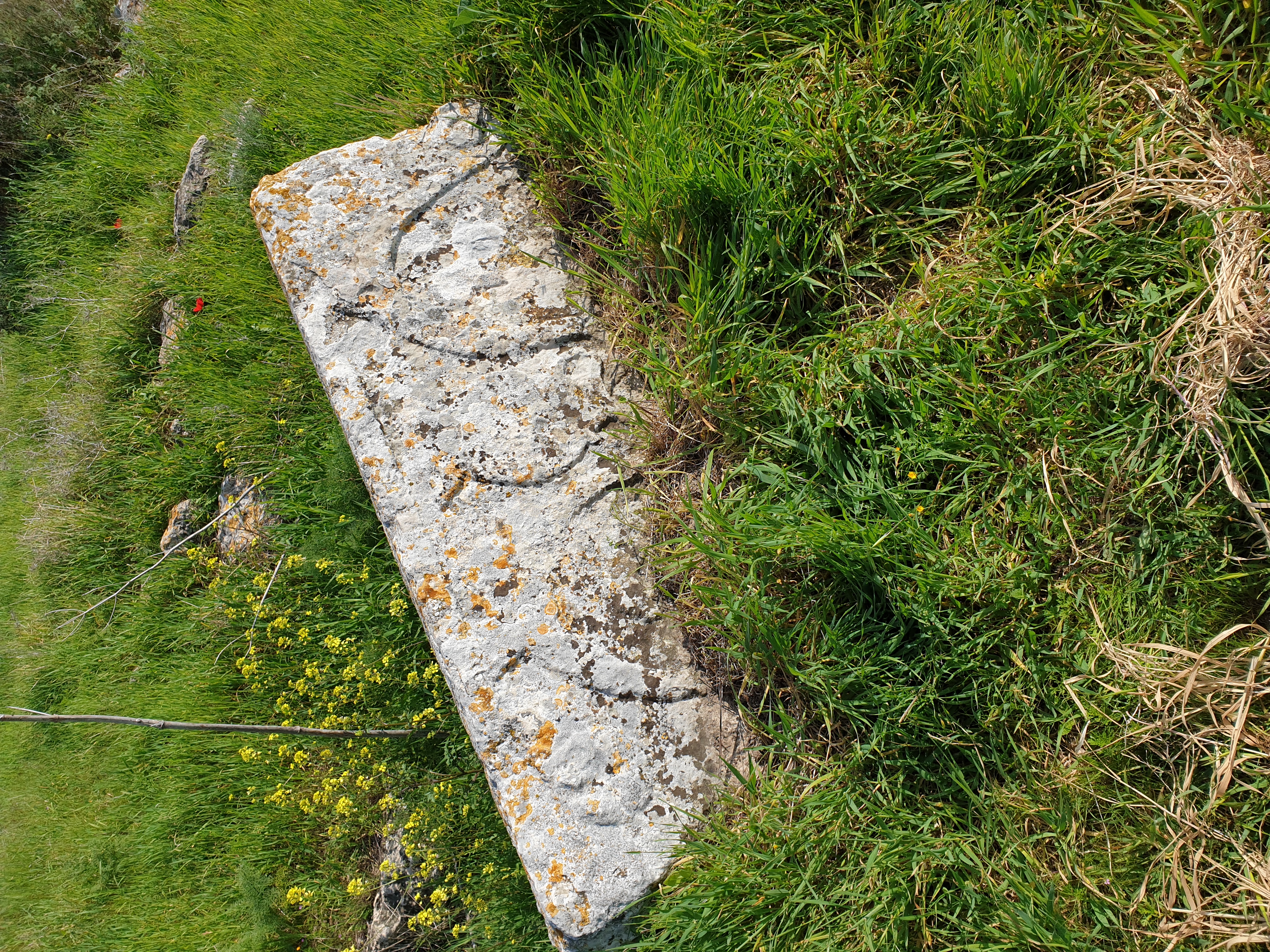 FileDecorated_lintel.jpg