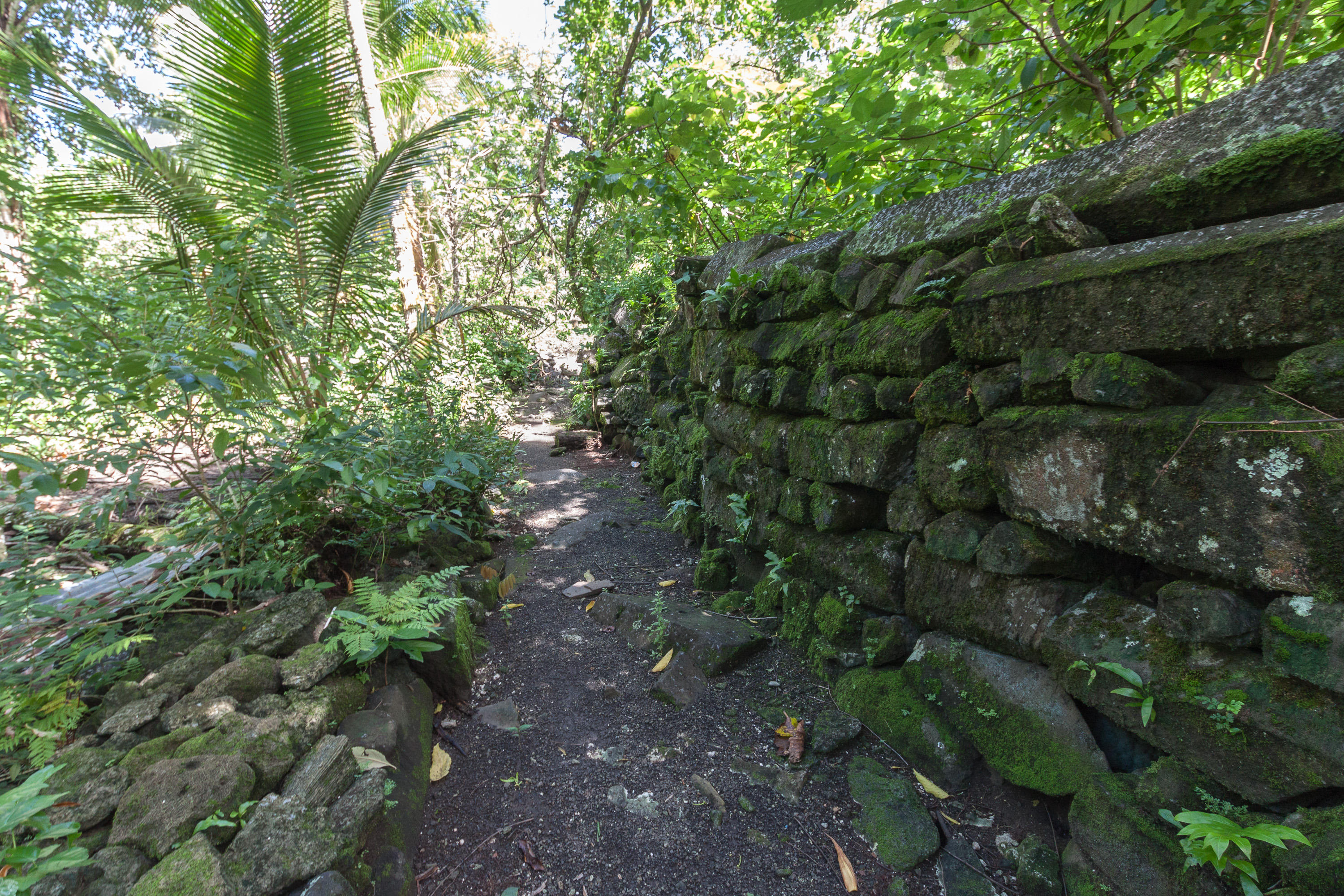 FileLelu_Ruins_Kosrae_Micronesia.jpg