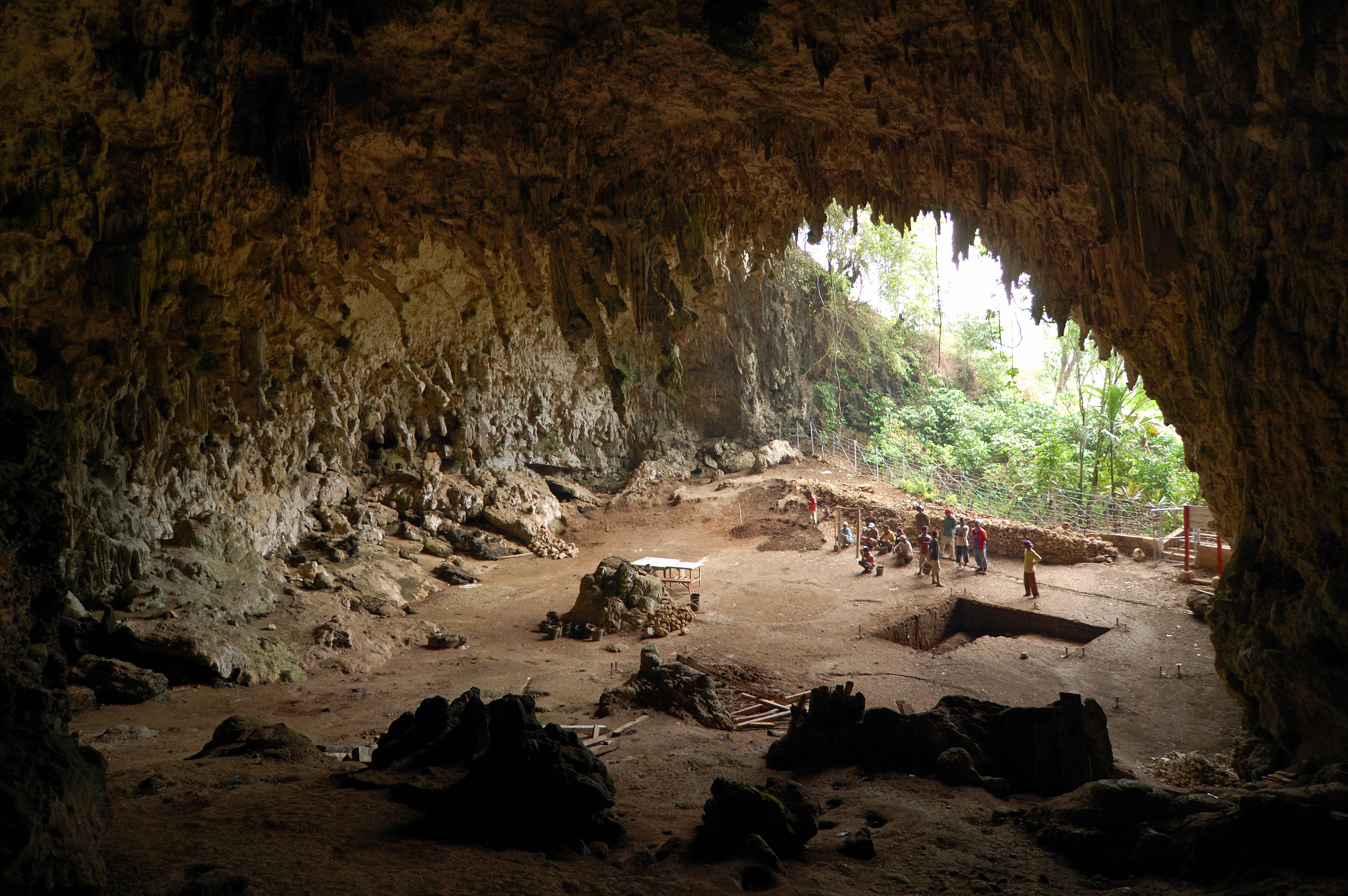 FileHomo_floresiensis_cave.jpg