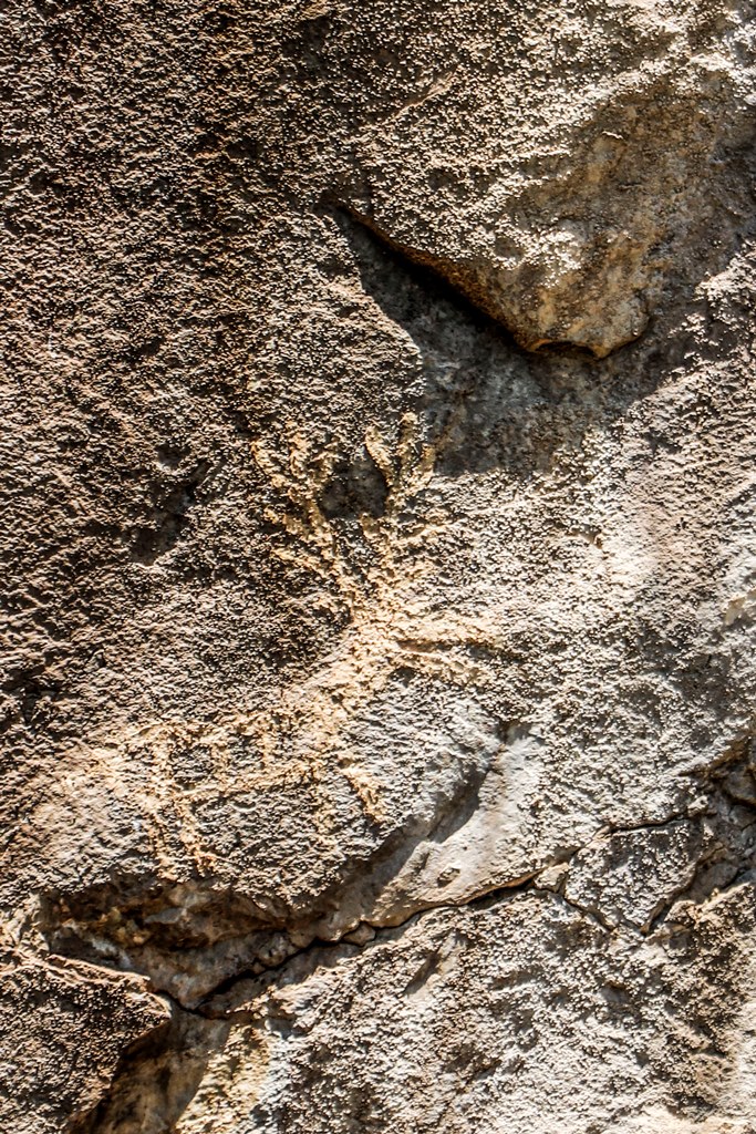 Lipci rock art