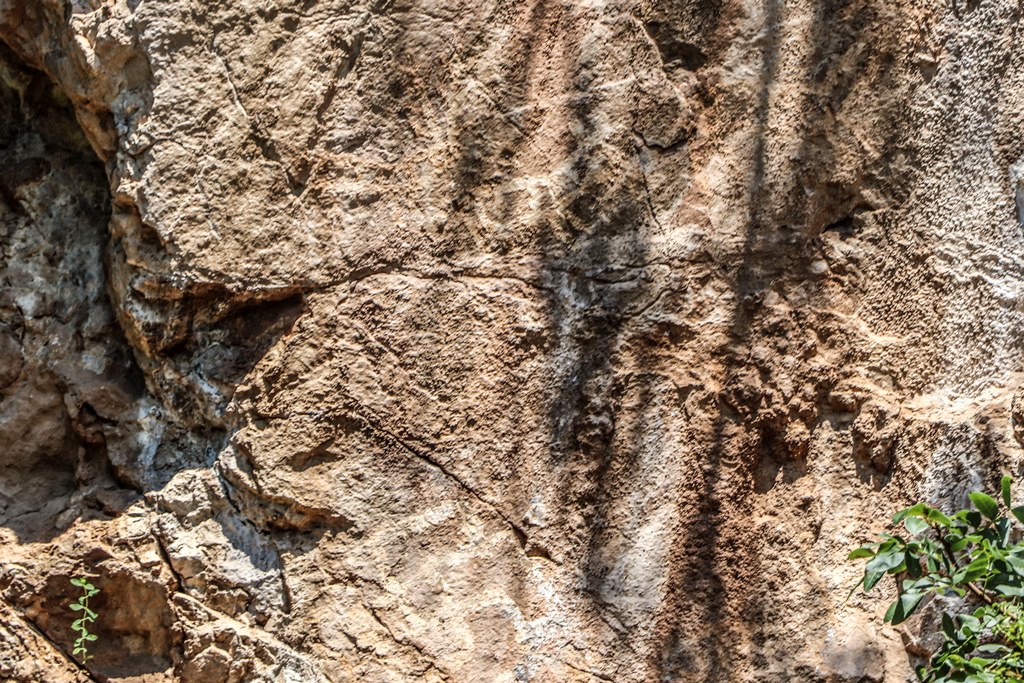 FileLipci_rock_art2.jpg