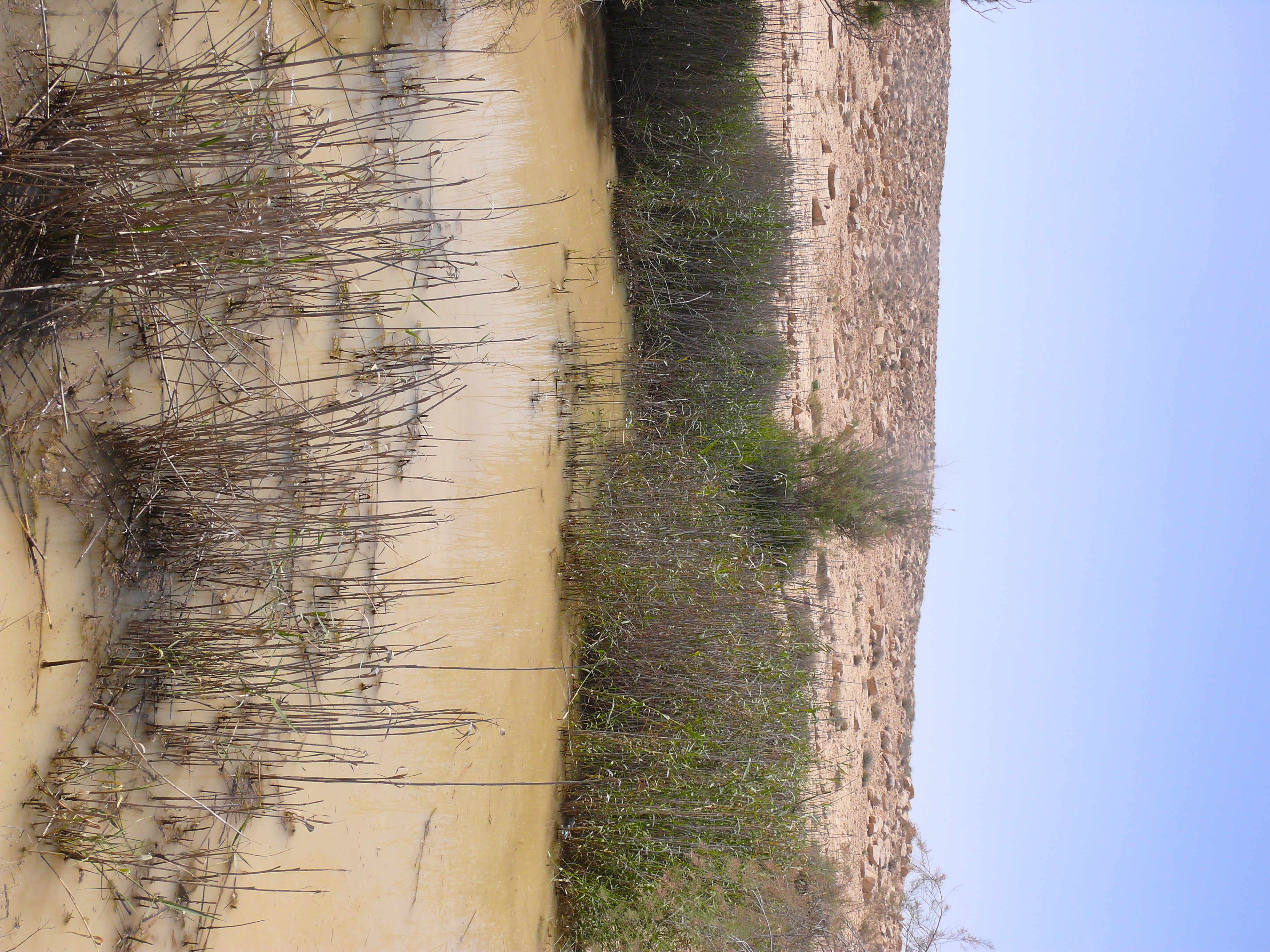 FileThe_Large_cistern_at_Lotz_Cisterns_site_2013.jpg