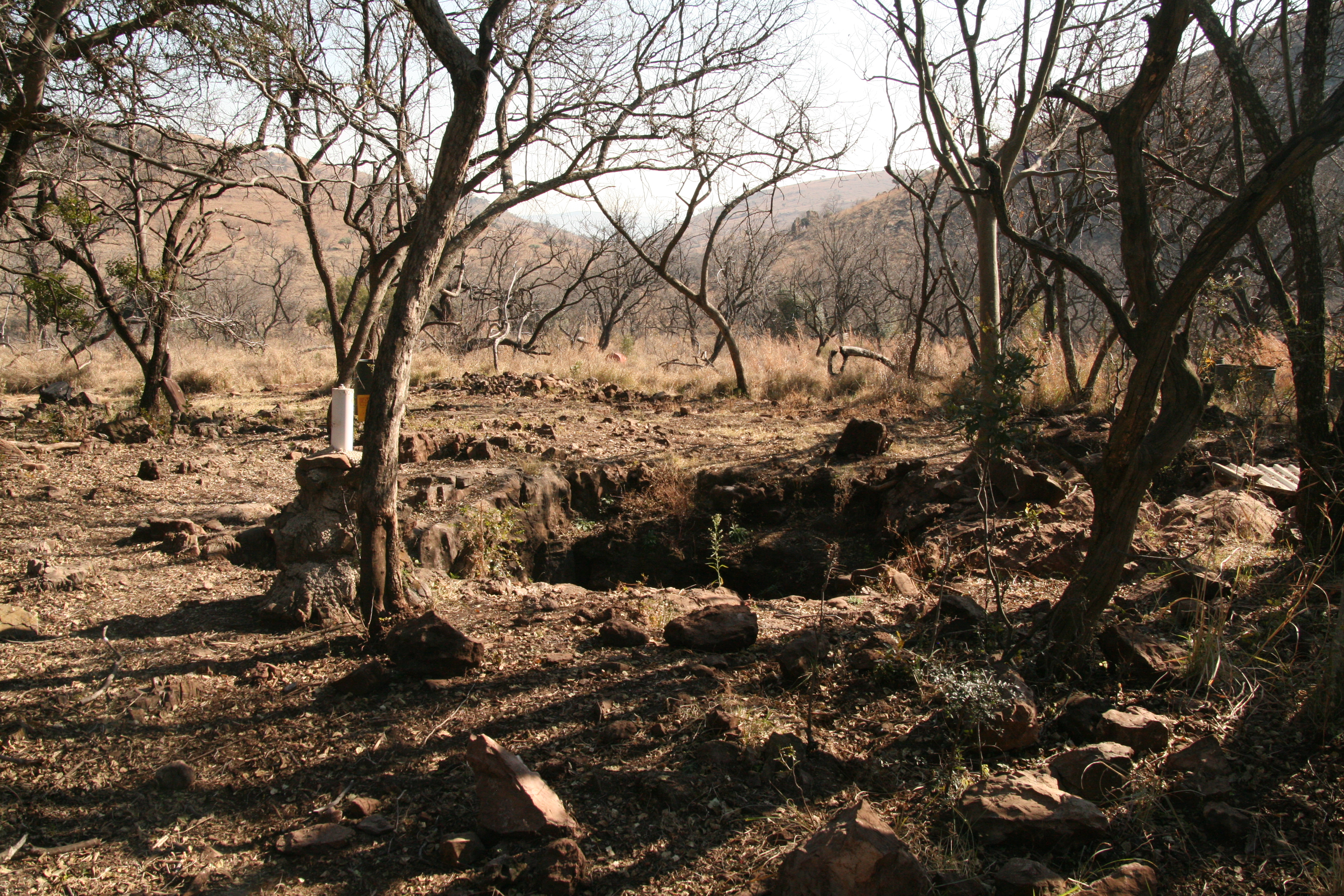 Malapa Fossil Site, Cradle of Humankind