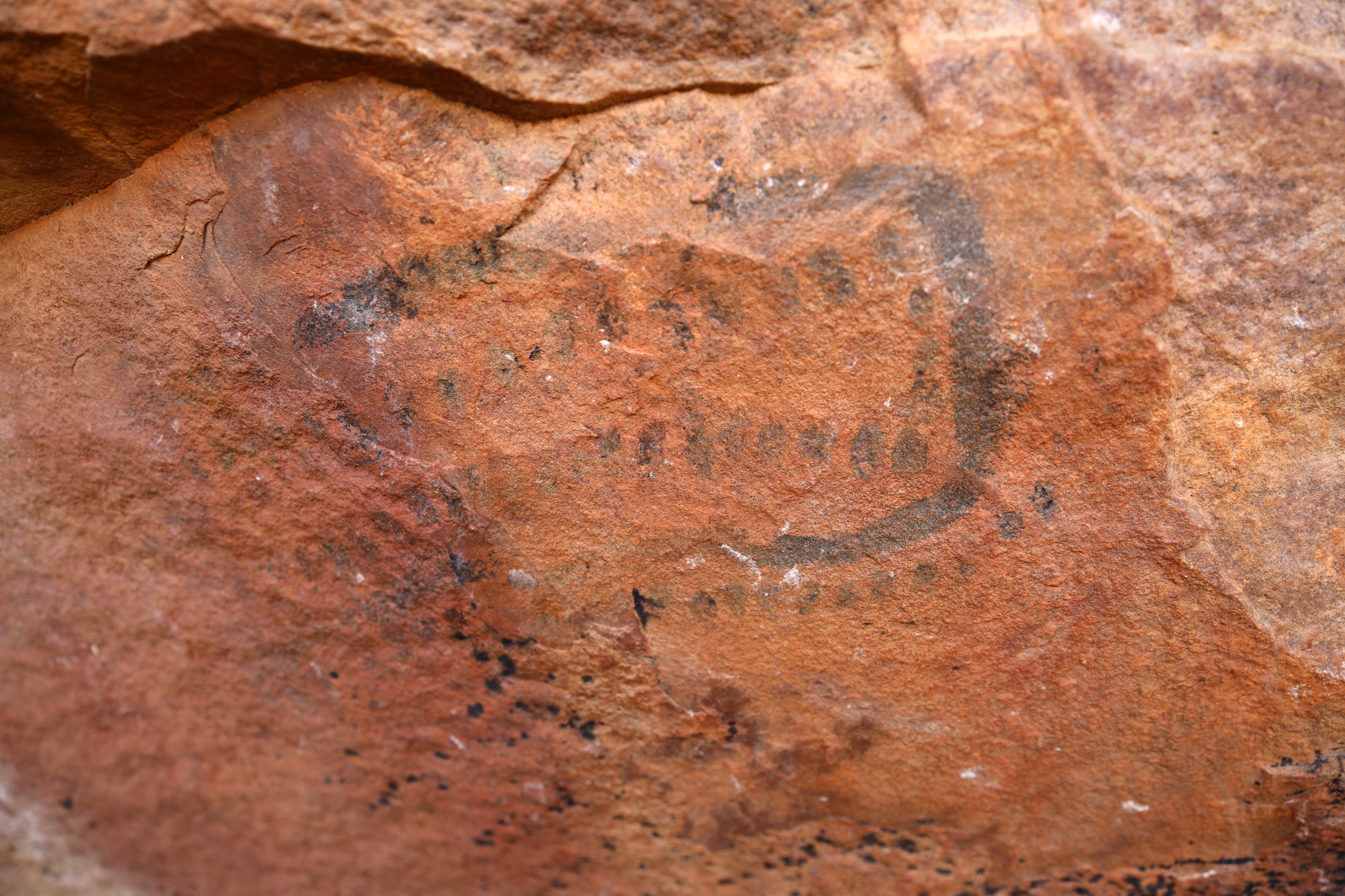 Manyana Rock Paintings