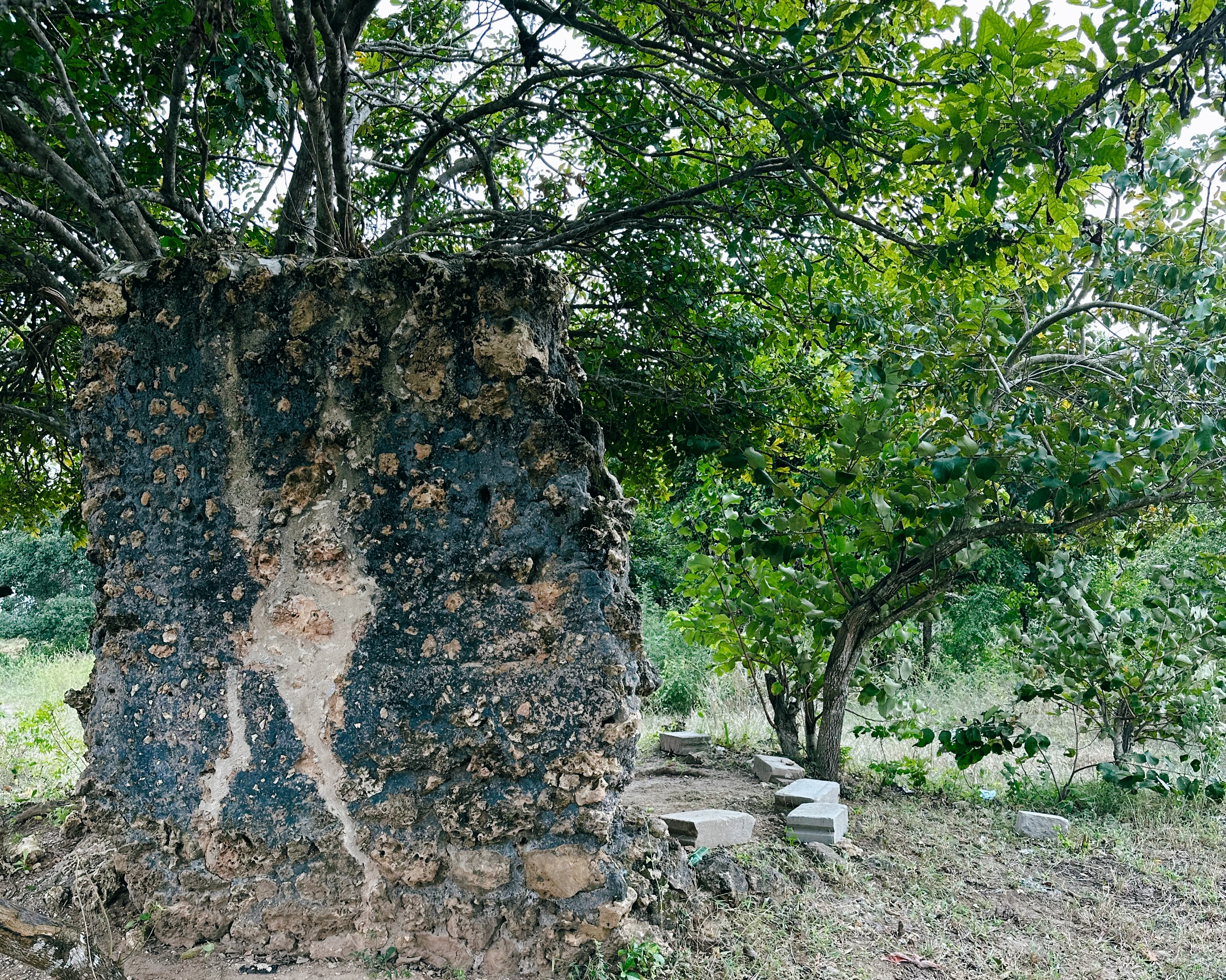 FileOld_mosque_wall_at_Mbuamaji_Ruins_Somangila_Kigamboni_MC_Dar_es_Salaam.jpg
