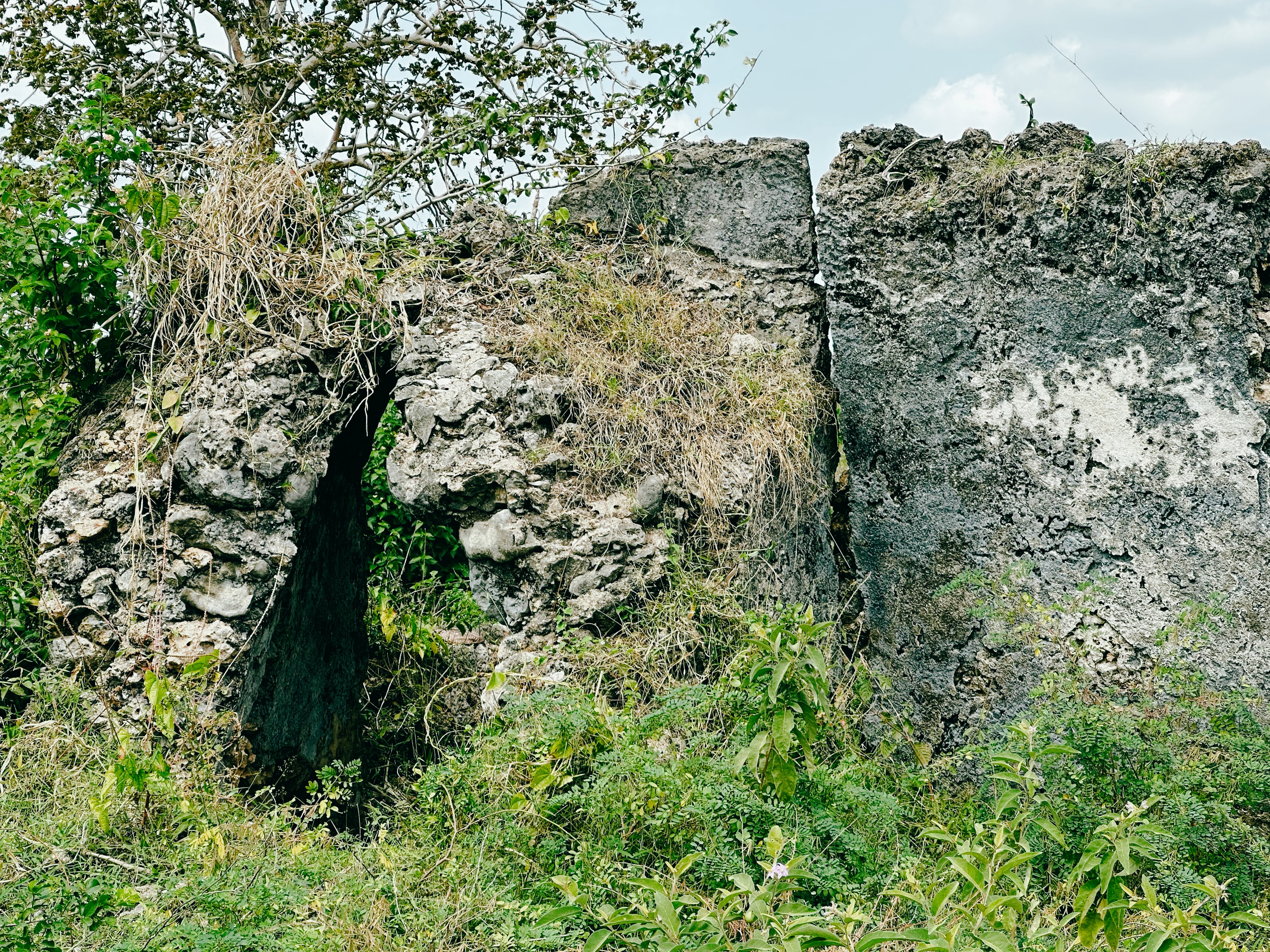 FileOld_mosque_ruin_at_Bandarini_Ruins_Somangila_Kigamboni_MC_Dar_es_Salaam.jpg