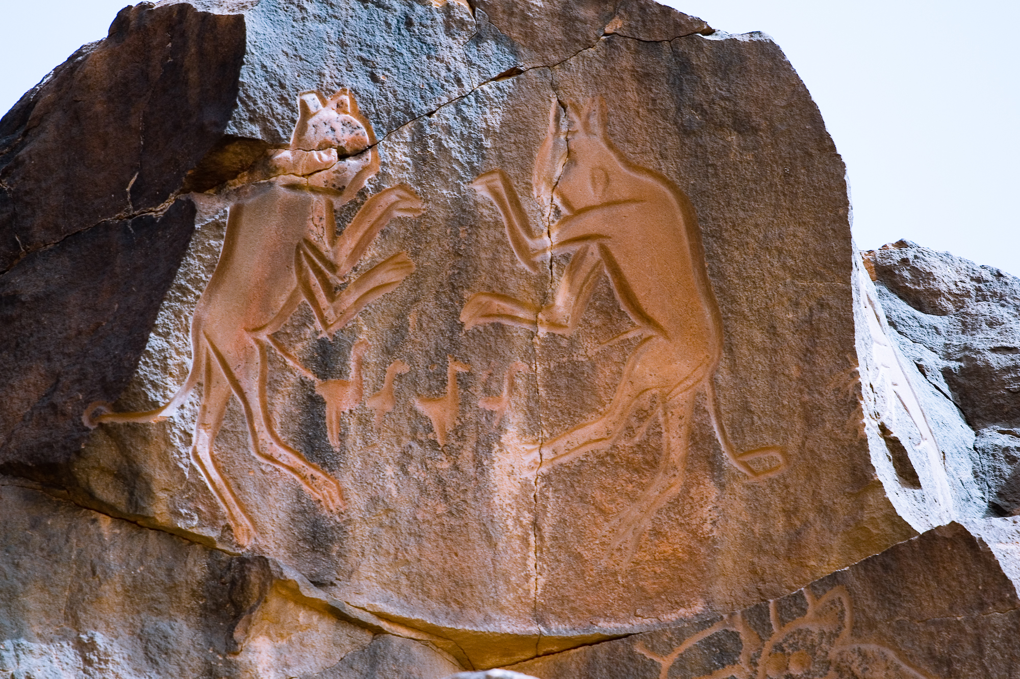 FileLibya_5321_Meercatze_Gatti_Mammoni_Petroglyphs_Wadi_Methkandoush_Luca_Galuzzi_2007.jpg