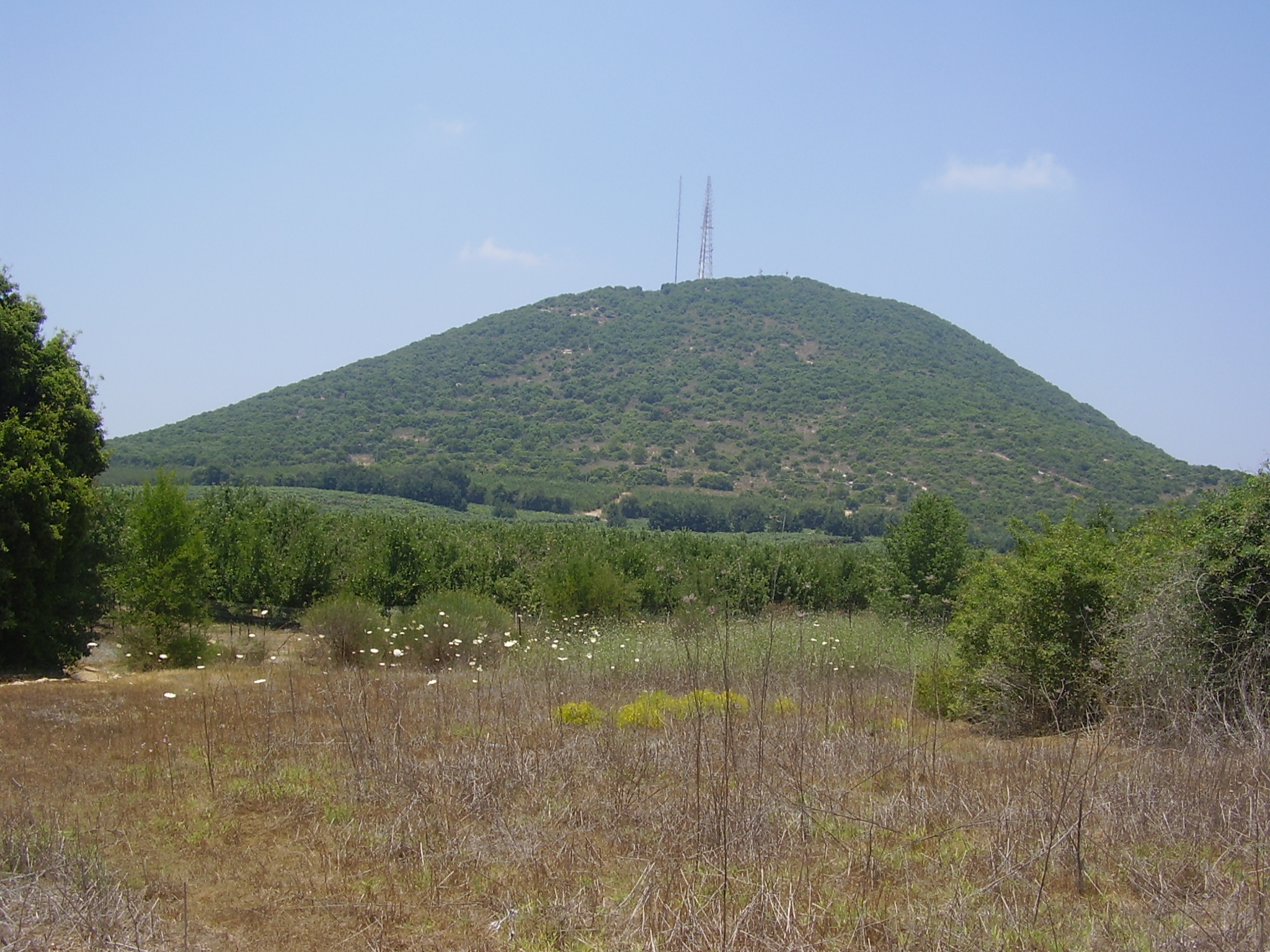 FileMt._Adir_in_Upper_Galilee.JPG