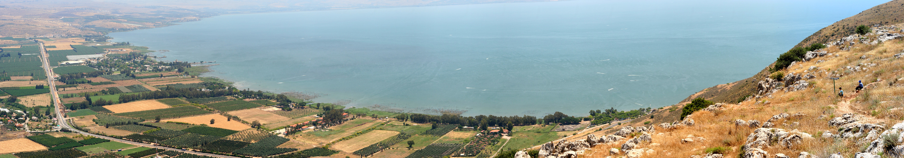 FileArbel_065PAN.jpg