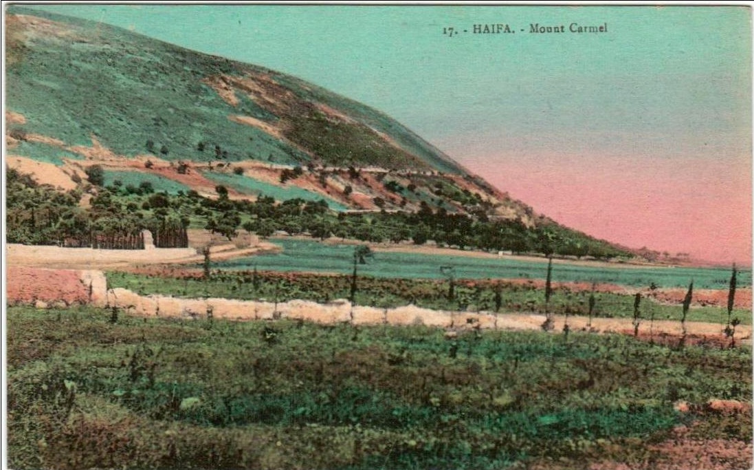 Mount Carmel