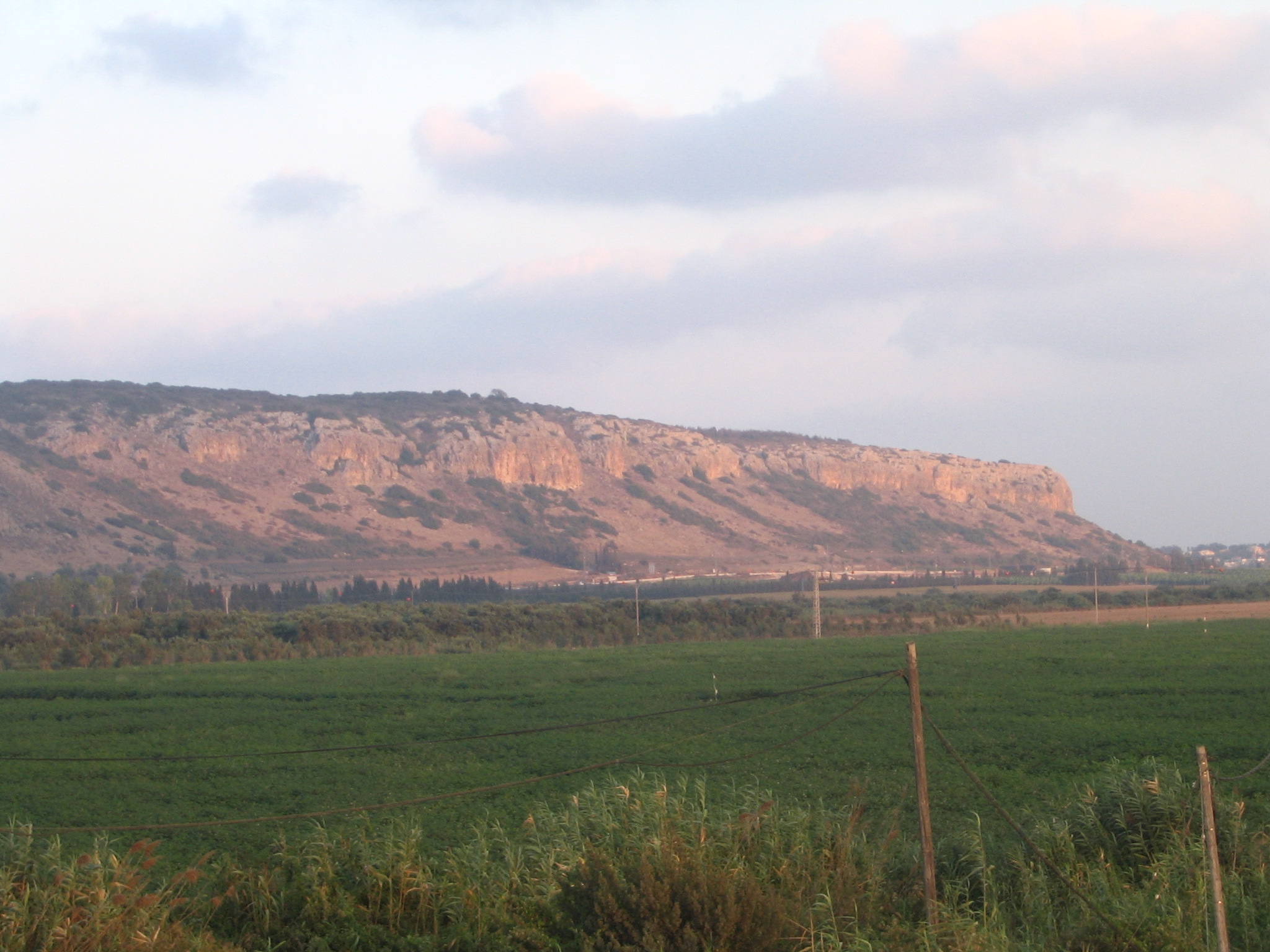 FileCaiobadner_-_mount_carmel.JPG