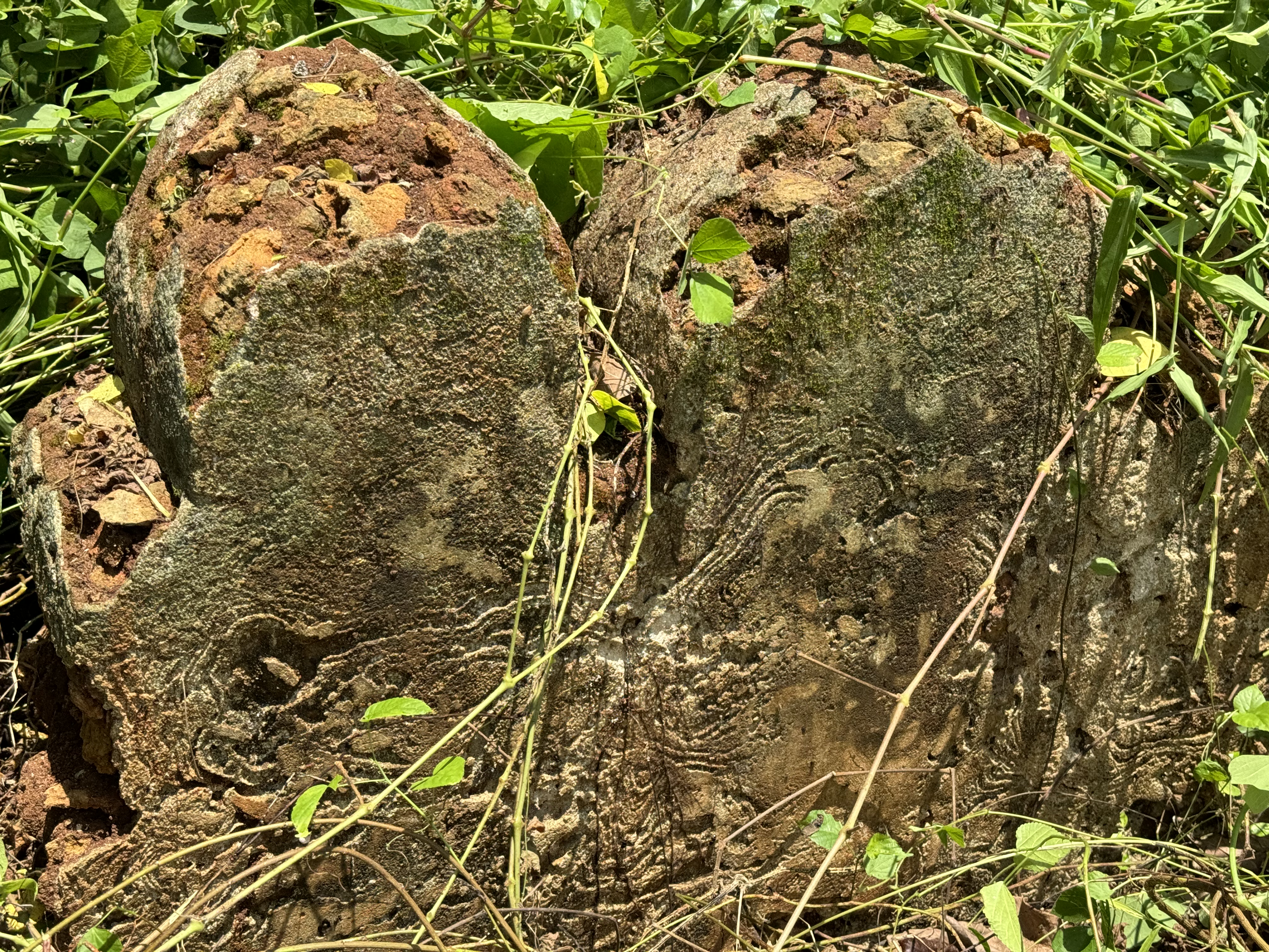 FileHistoric_Muhembo_ruins_Pangani_DC_Tanga_Region6.jpg