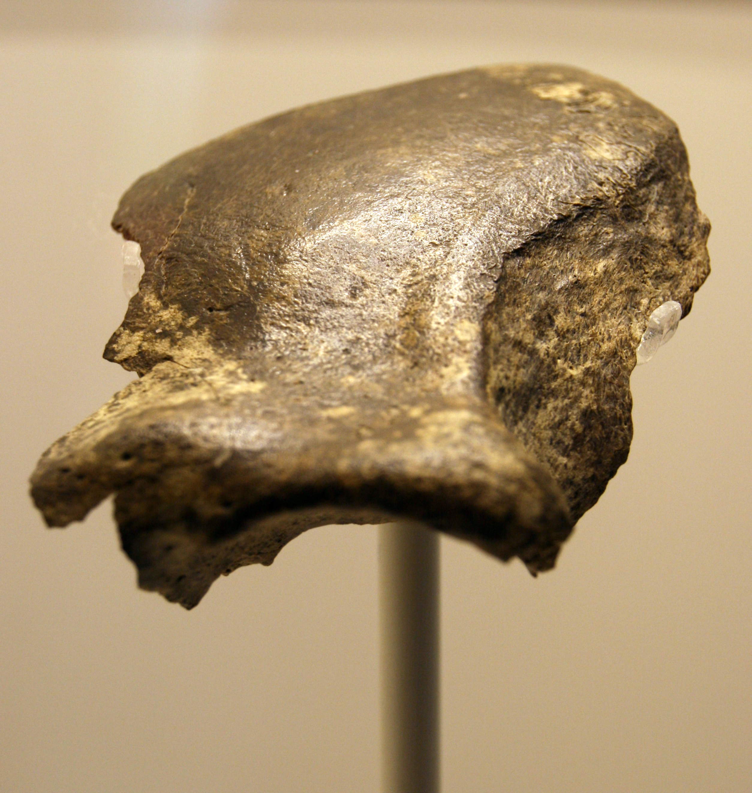 FileEH_06_05.JPG