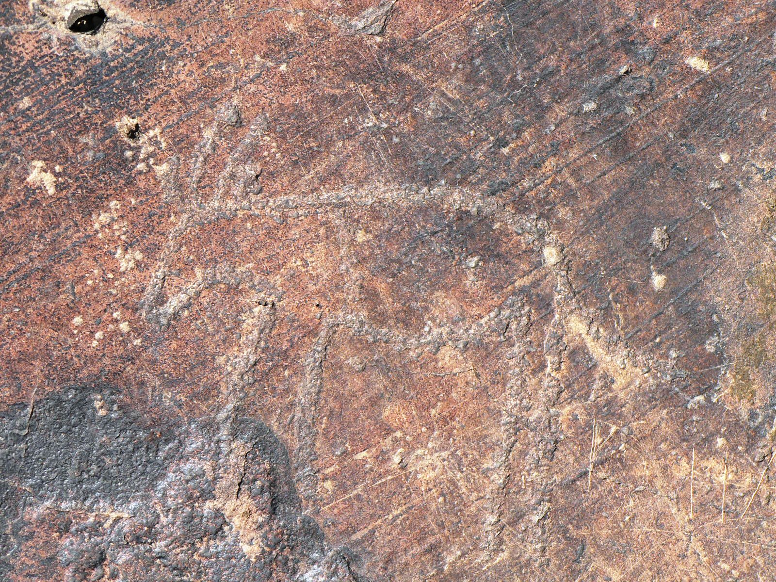 FileRock_Art_Nooitgedacht_Glacial_Pavement_Kimberley_District.JPG