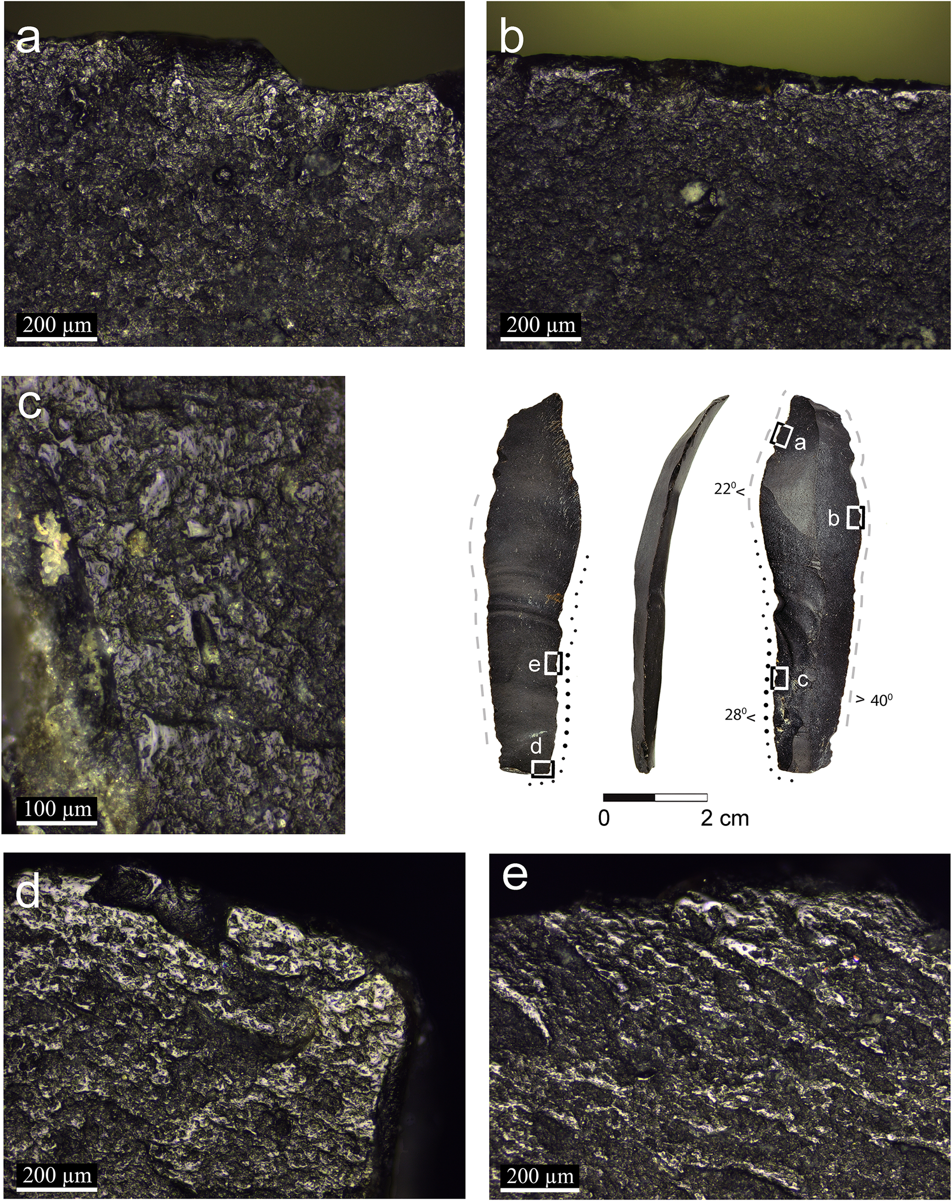 FileComposite_Sickles_for_Cereal_Harvesting_at_23000-Years-Old_Ohalo_II_Israel._Artifacts_with_micrographs_of_the_semi-ripe_cereal_use_and_prehension_wear.jpg