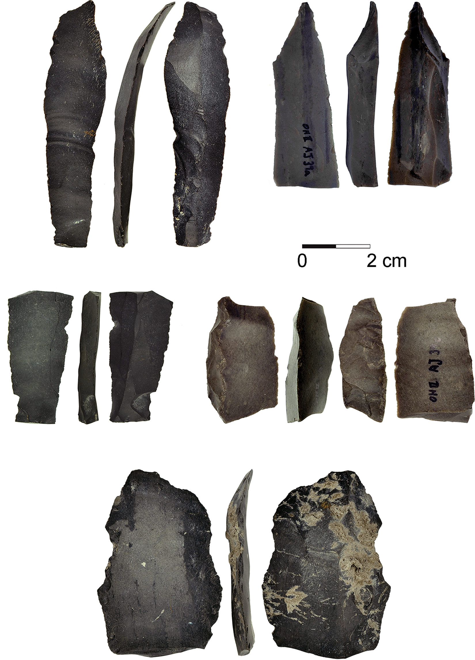 FileComposite_Sickles_for_Cereal_Harvesting_at_23000-Years-Old_Ohalo_II_Israel.jpg